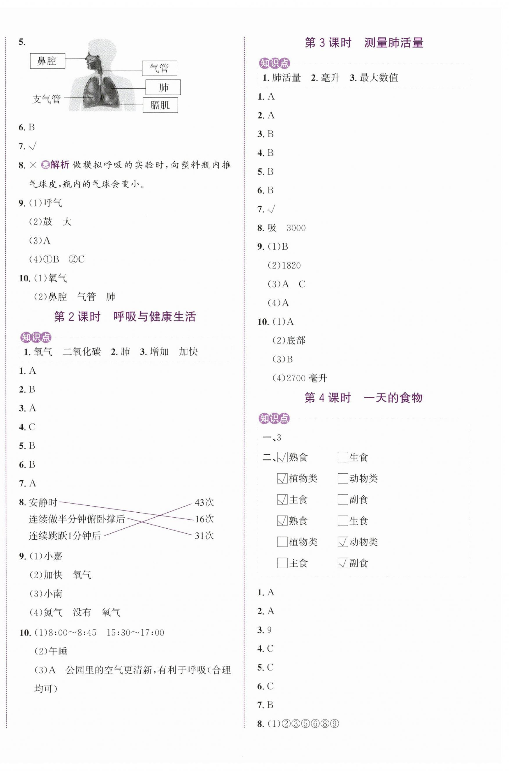2025年奔跑吧少年四年級科學(xué)上冊教科版 第4頁