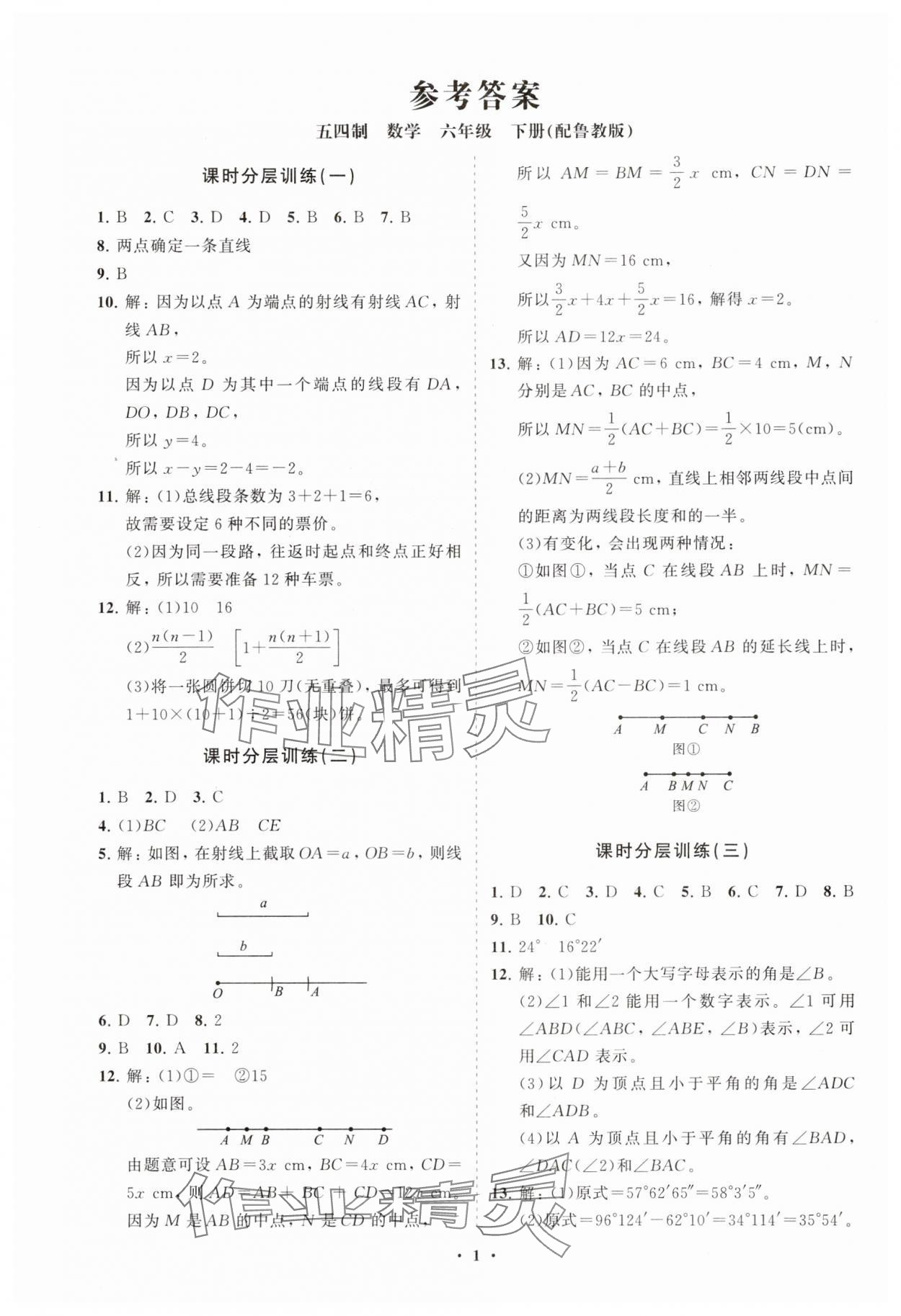 2025年同步練習(xí)冊分層卷六年級數(shù)學(xué)下冊魯教版54制 參考答案第1頁