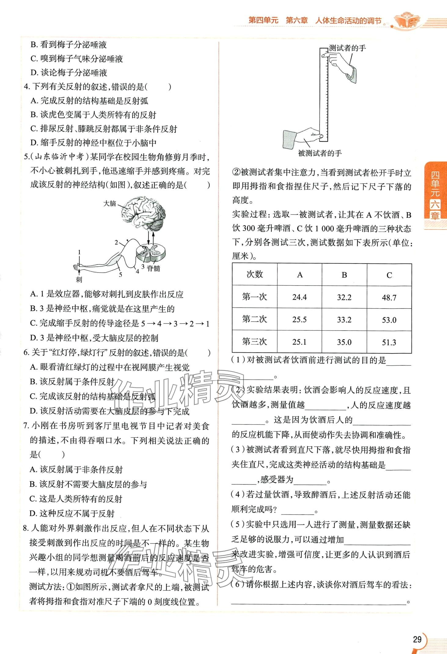 2024年教材课本七年级生物下册鲁科版&nbsp;第29页