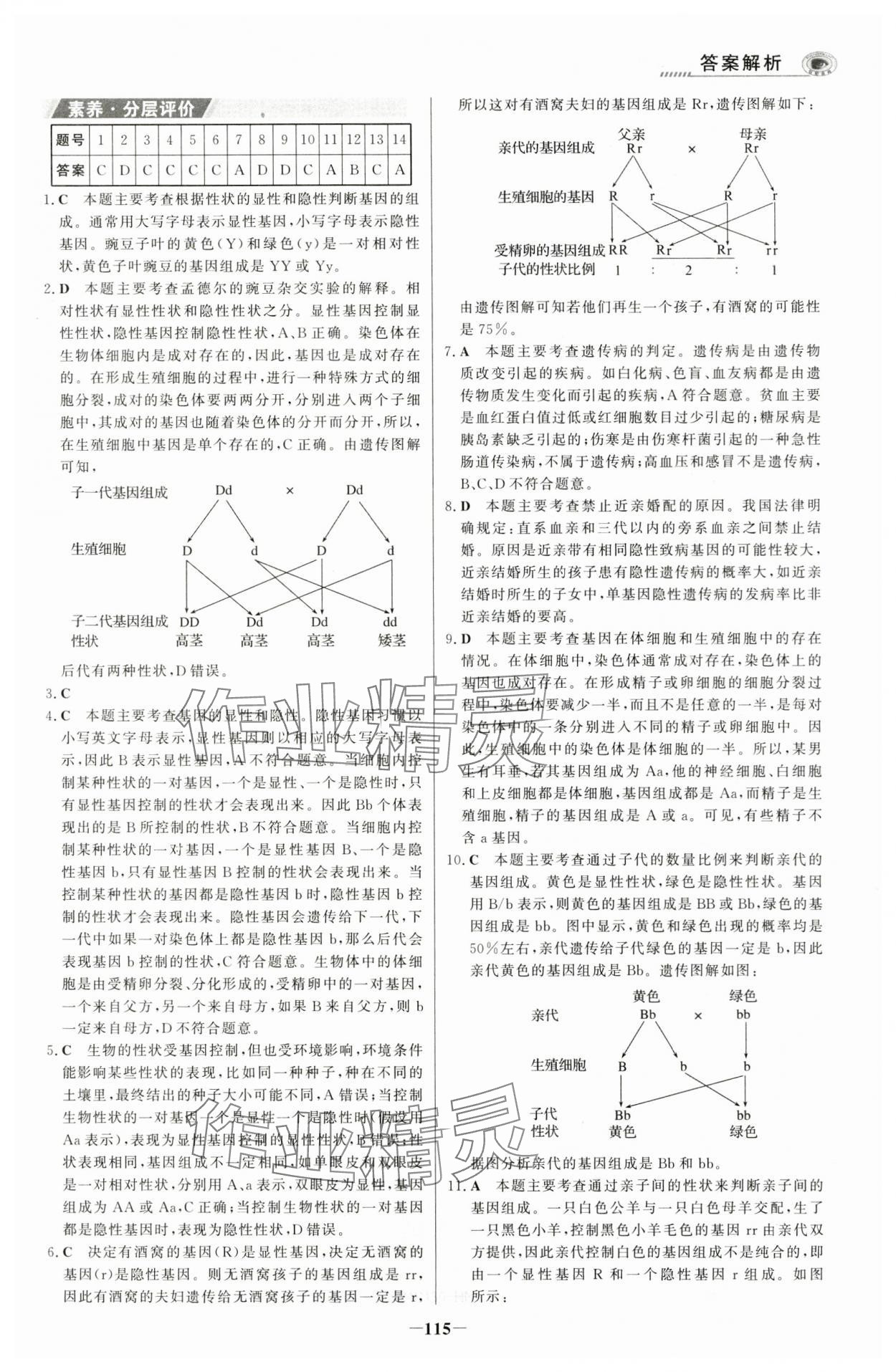 2024年世紀(jì)金榜金榜學(xué)案八年級(jí)生物下冊(cè)人教版河南專版 參考答案第6頁