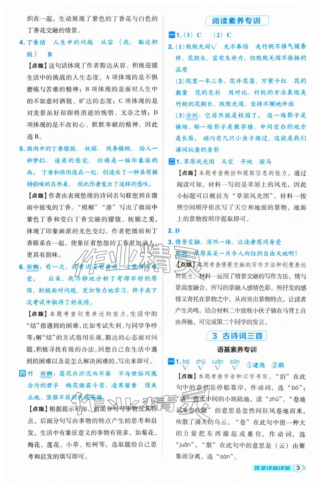 2024年綜合應(yīng)用創(chuàng)新題典中點六年級語文上冊人教版（Y專版）寧夏專版 第3頁