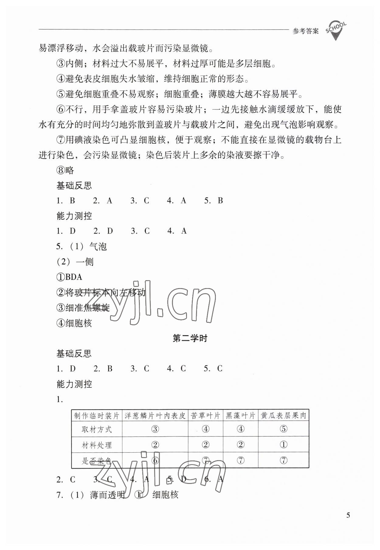 2023年新課程問題解決導(dǎo)學(xué)方案七年級生物上冊人教版 第5頁