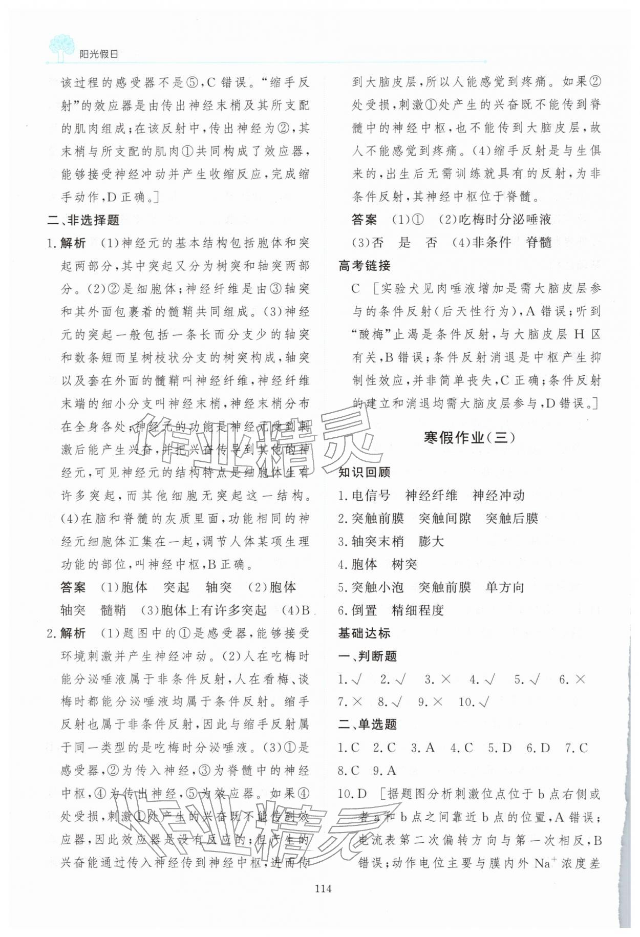 2026年陽光假日寒假高二生物&nbsp;第4頁