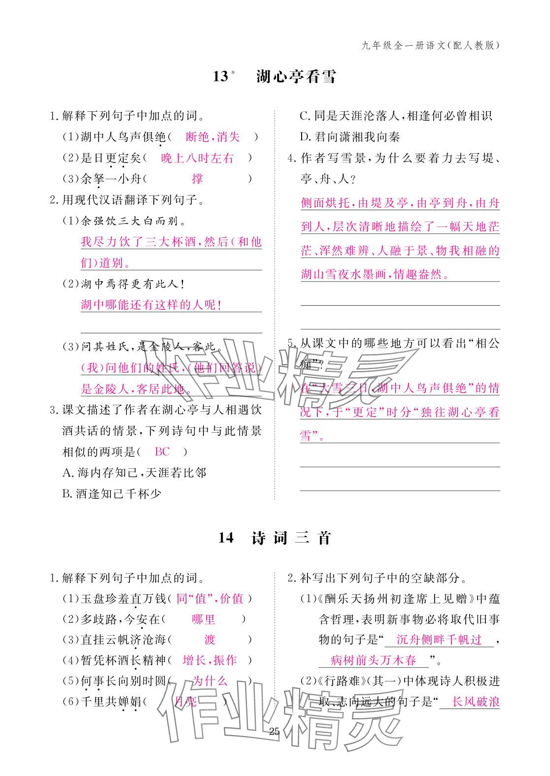2025年作业本江西教育出版社九年级语文全一册人教版 参考答案第25页