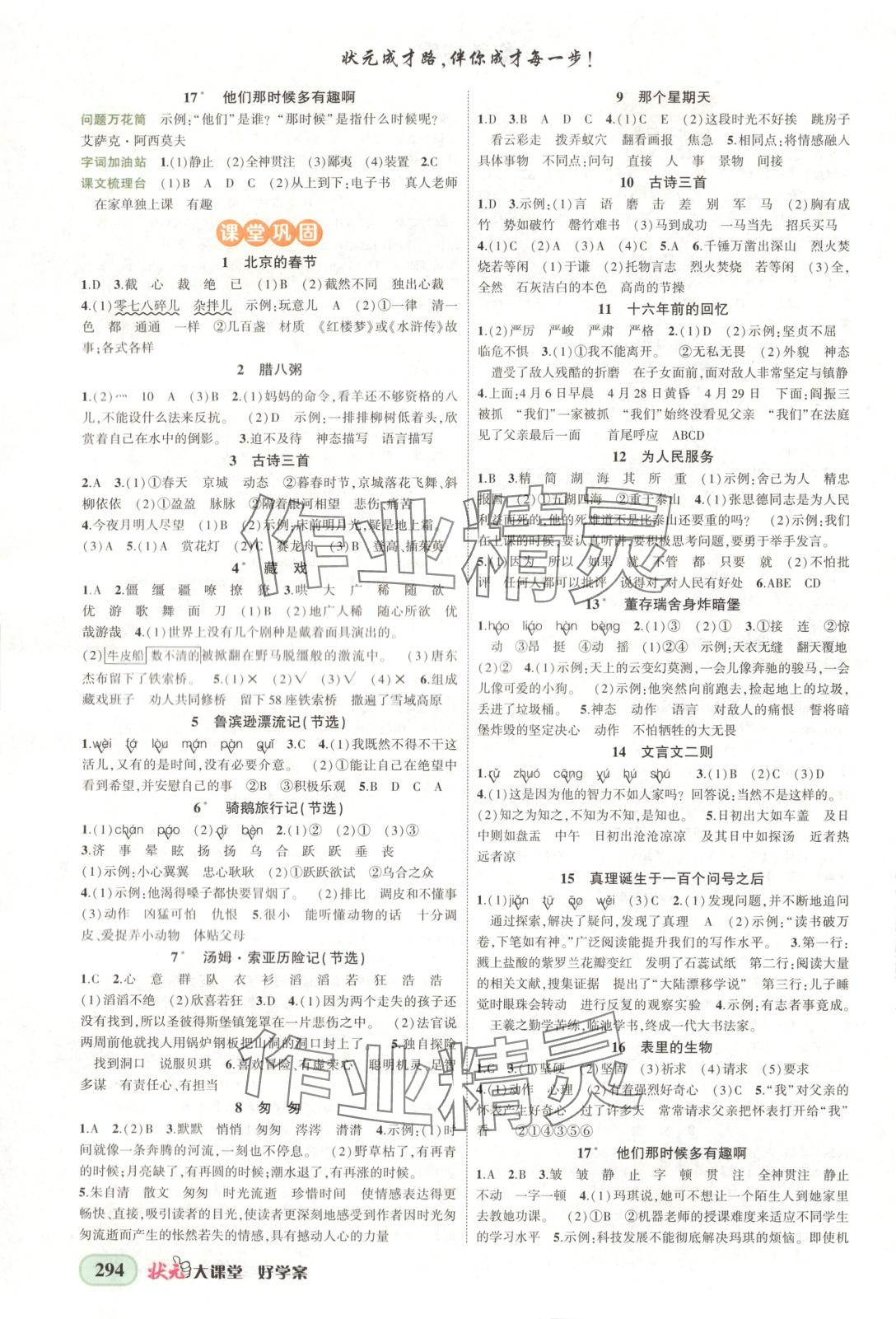 2025年黄冈状元成才路状元大课堂六年级语文下册人教版安徽专版 第2页