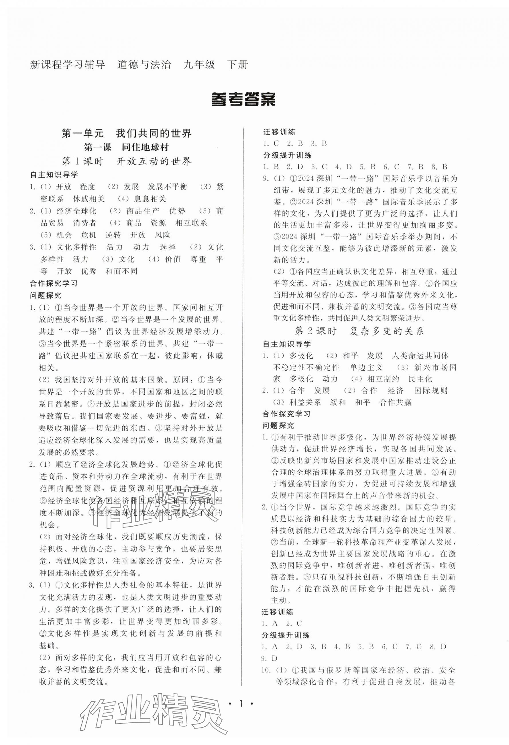 2025年新課程學(xué)習(xí)輔導(dǎo)九年級道德與法治下冊人教版 第1頁