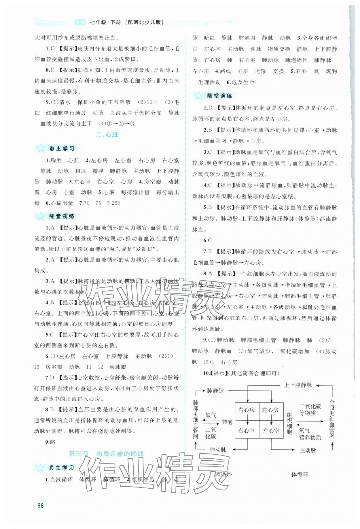 2024年新課程學(xué)習(xí)與測評同步學(xué)習(xí)七年級生物下冊冀少版 第4頁