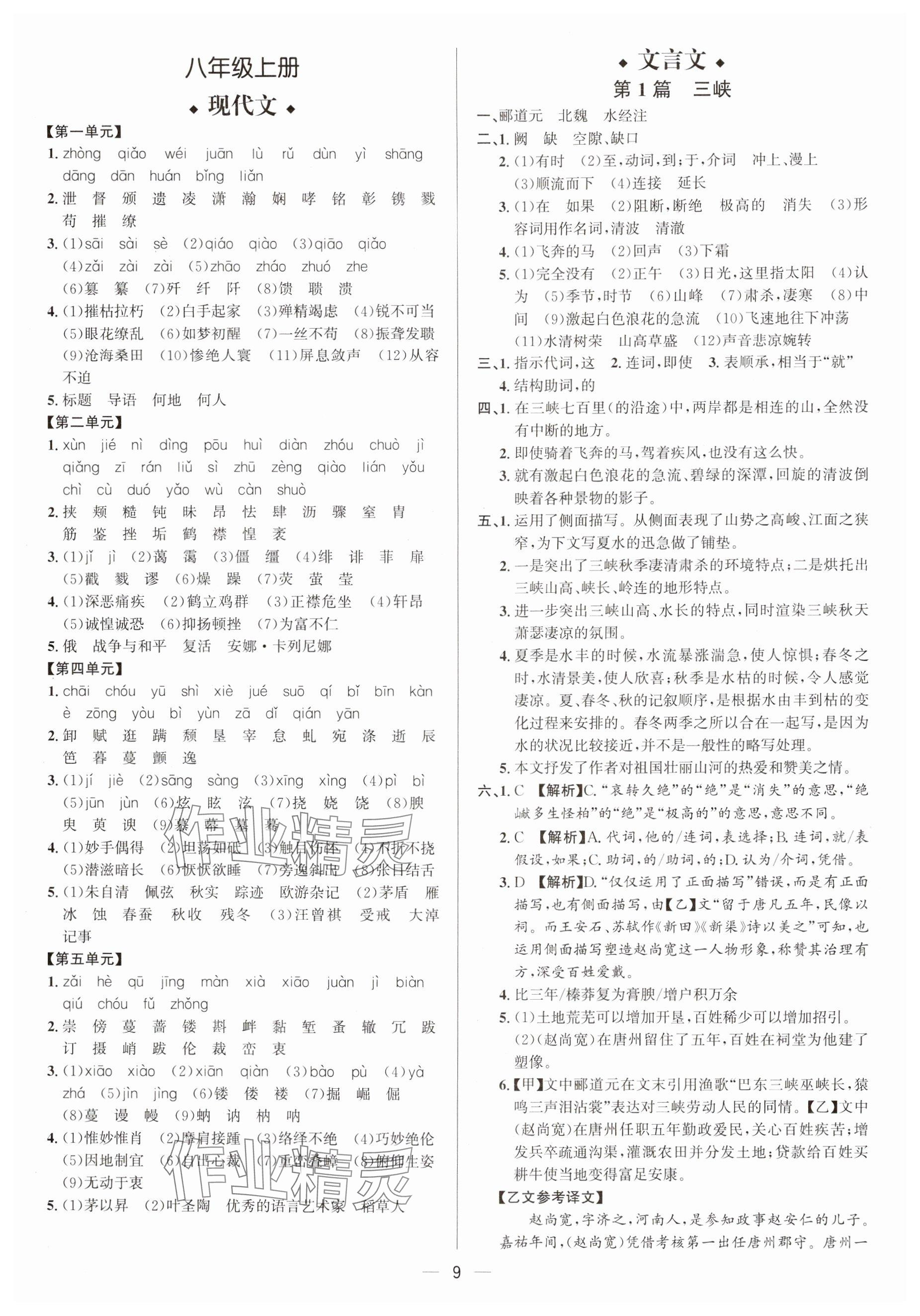 2025年中考对策语文 参考答案第9页