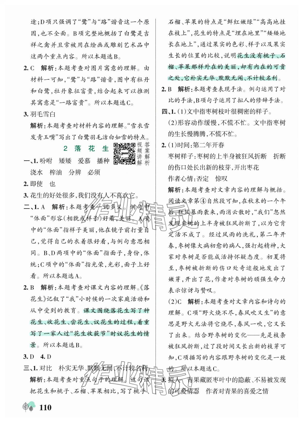 2025年绿卡提优特训五年级语文上册人教版江苏专版 第2页