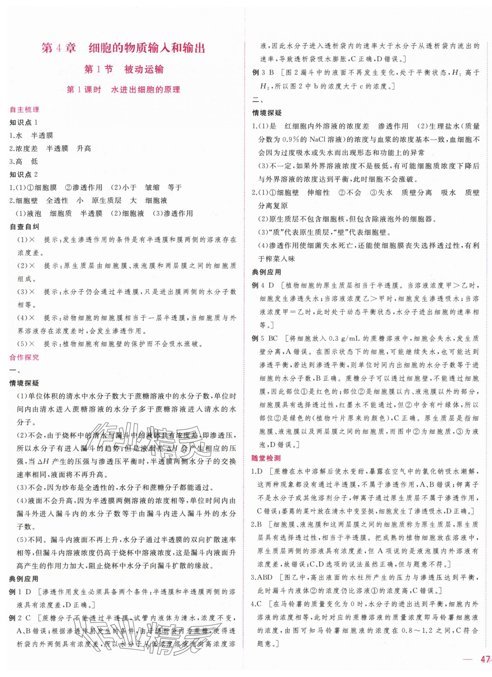 2025年三維隨堂精練高中生物必修1人教版 第13頁