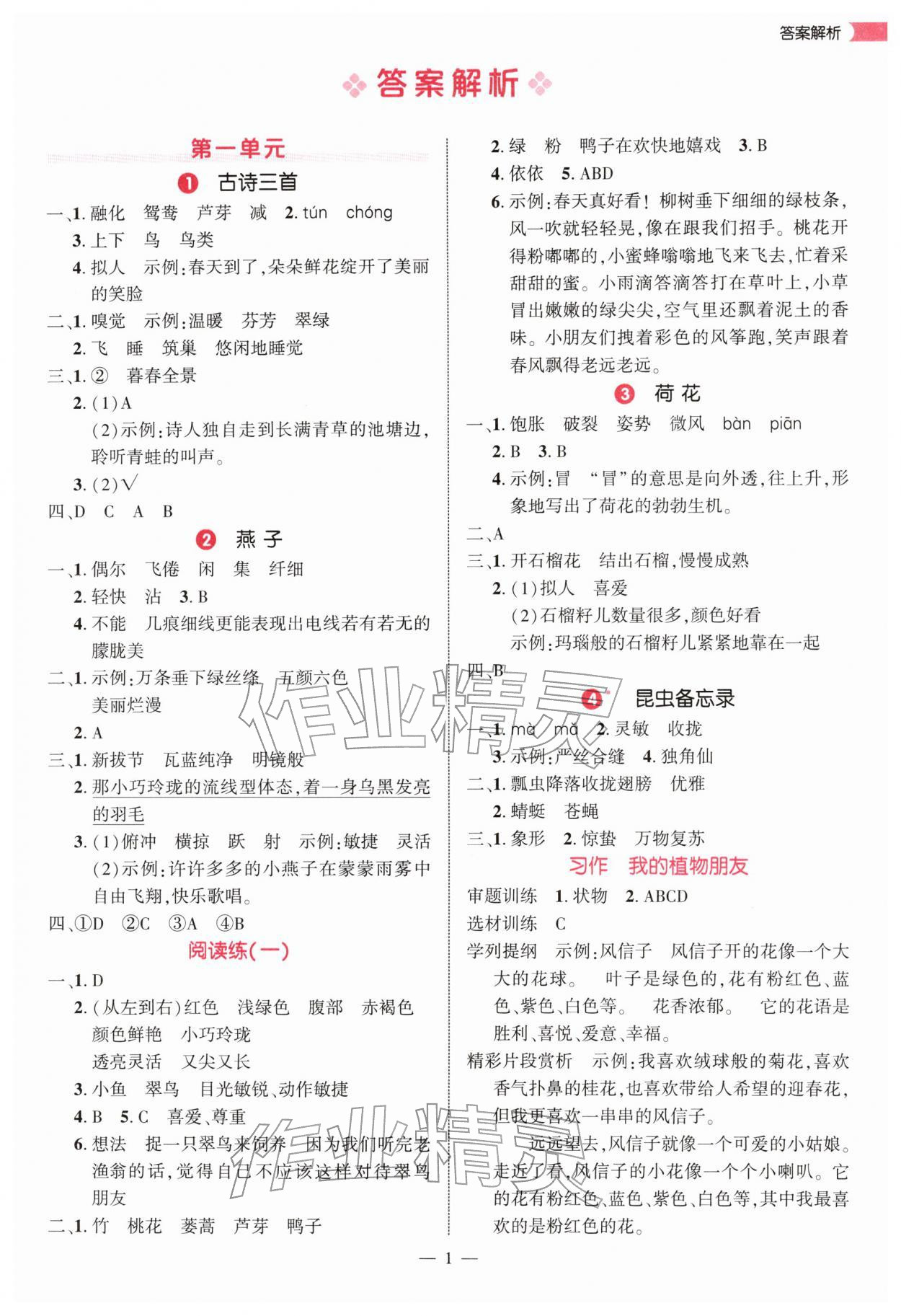 2026年细解巧练三年级语文下册人教版&nbsp;第1页