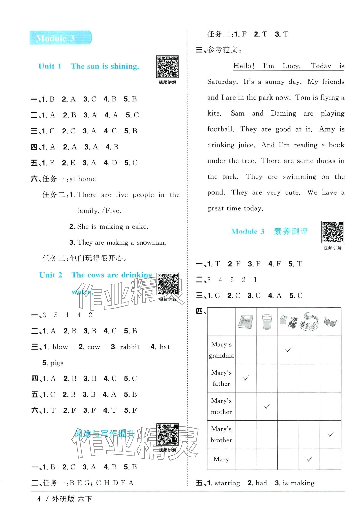 2024年阳光同学课时优化作业六年级英语下册外研版 第4页