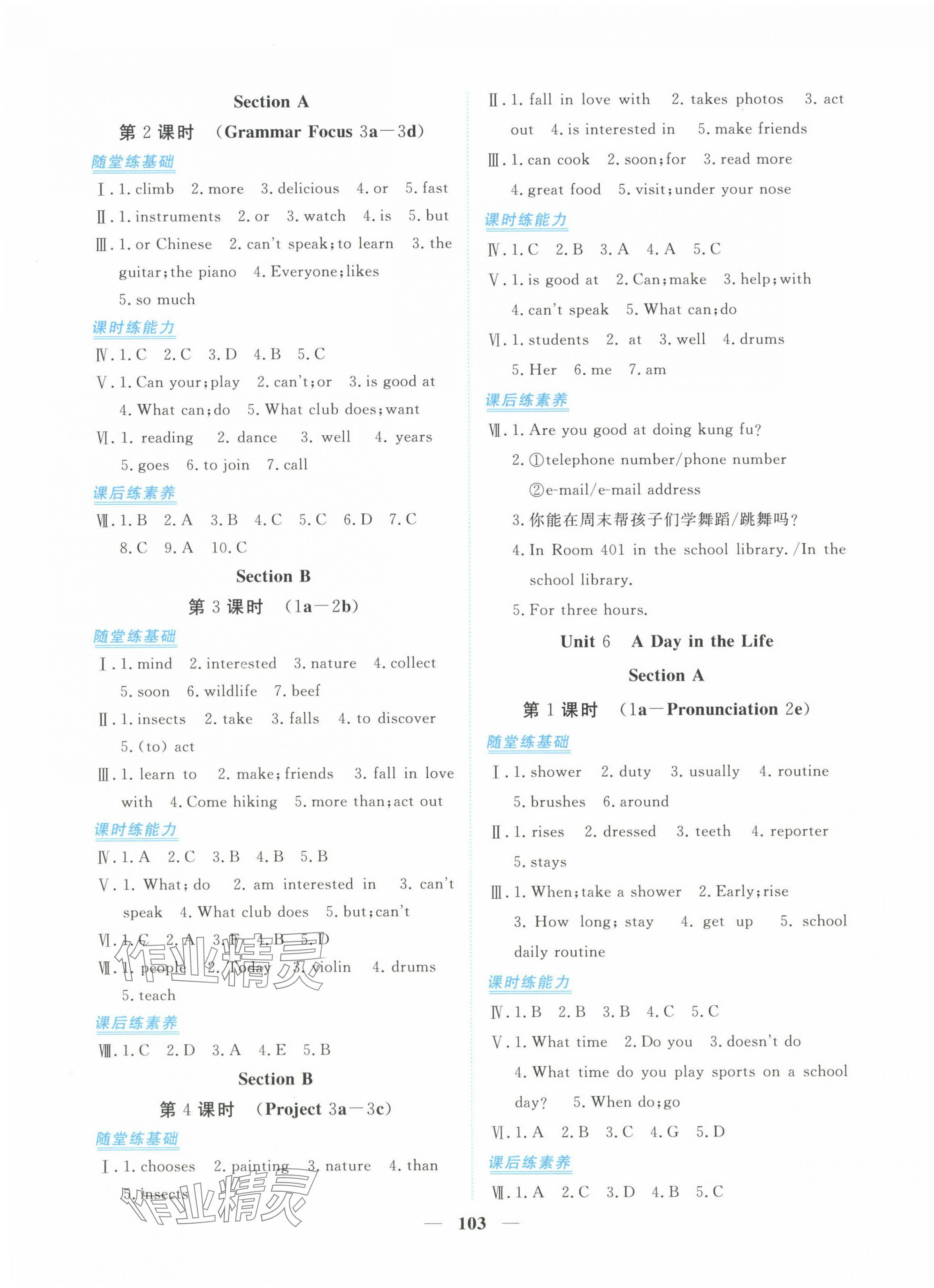 2024年新坐標(biāo)同步練習(xí)七年級(jí)英語(yǔ)上冊(cè)人教版青海專用 第7頁(yè)