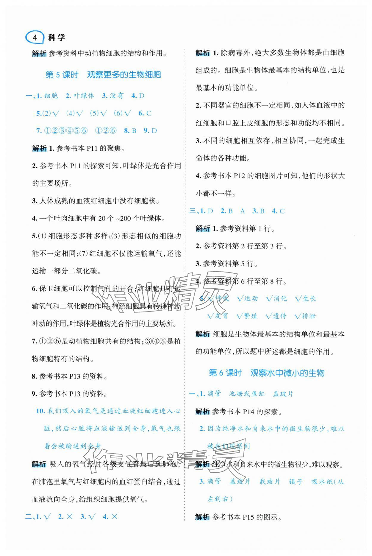 2025年名师面对面先学后练六年级科学上册教科版 第4页