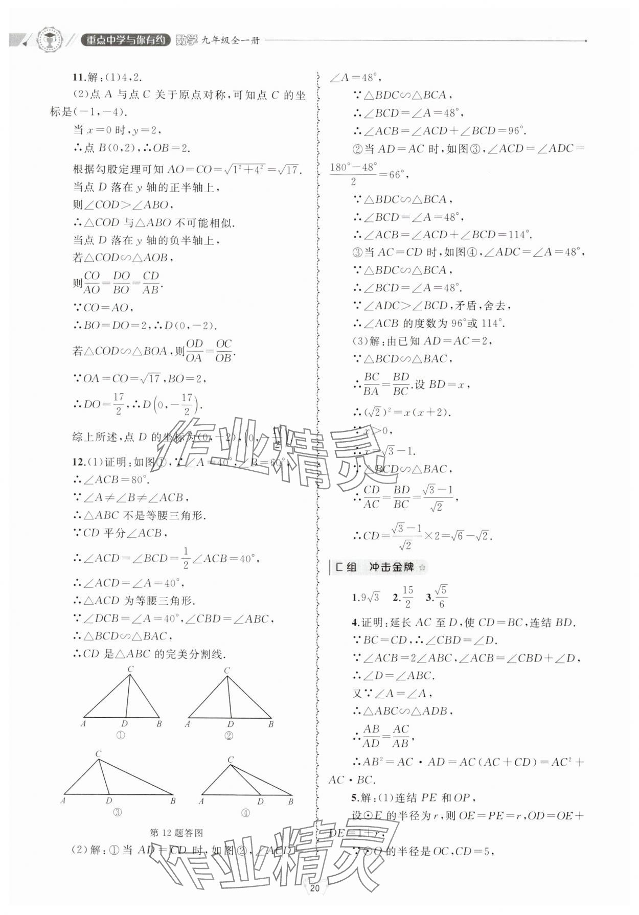 2024年重点中学与你有约九年级数学全一册浙教版 参考答案第20页