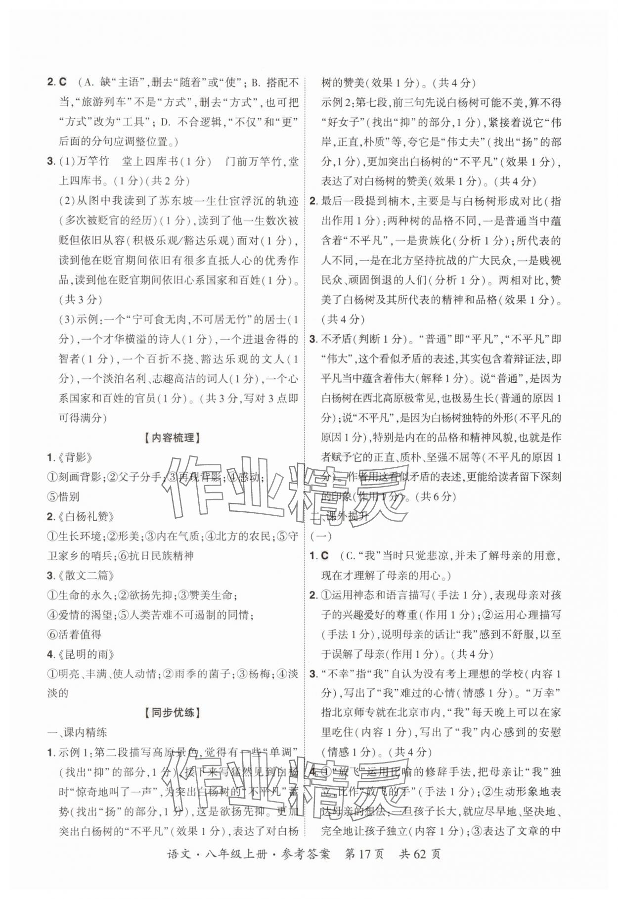 2025年单元优练八年级语文上册人教版广州专版&nbsp;参考答案第17页
