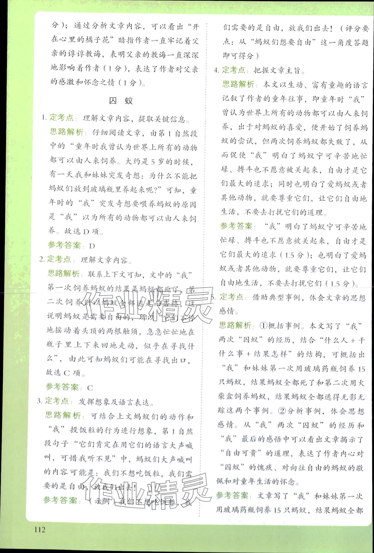 2024年閱讀理解與答題模板五年級語文下冊人教版 第3頁