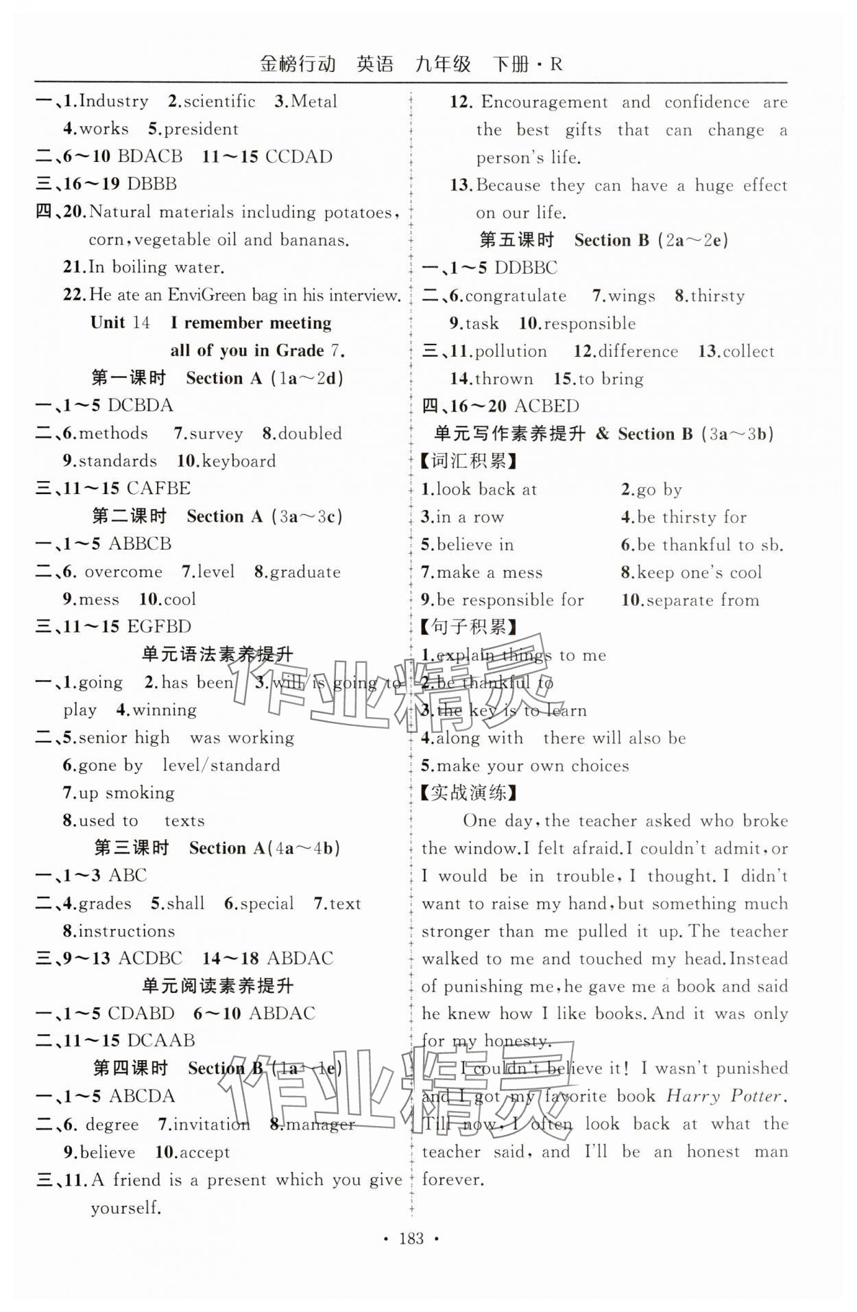 2025年金榜行動(dòng)九年級(jí)英語(yǔ)下冊(cè)人教版 參考答案第4頁(yè)