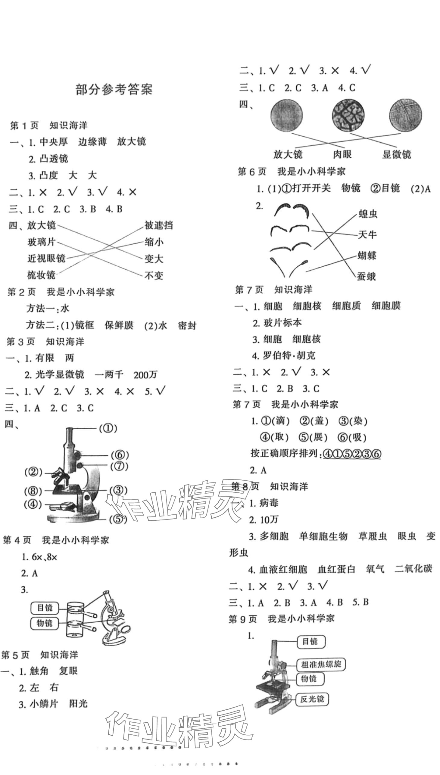 2024年寒假作业与生活陕西人民教育出版社六年级科学教科版 第1页