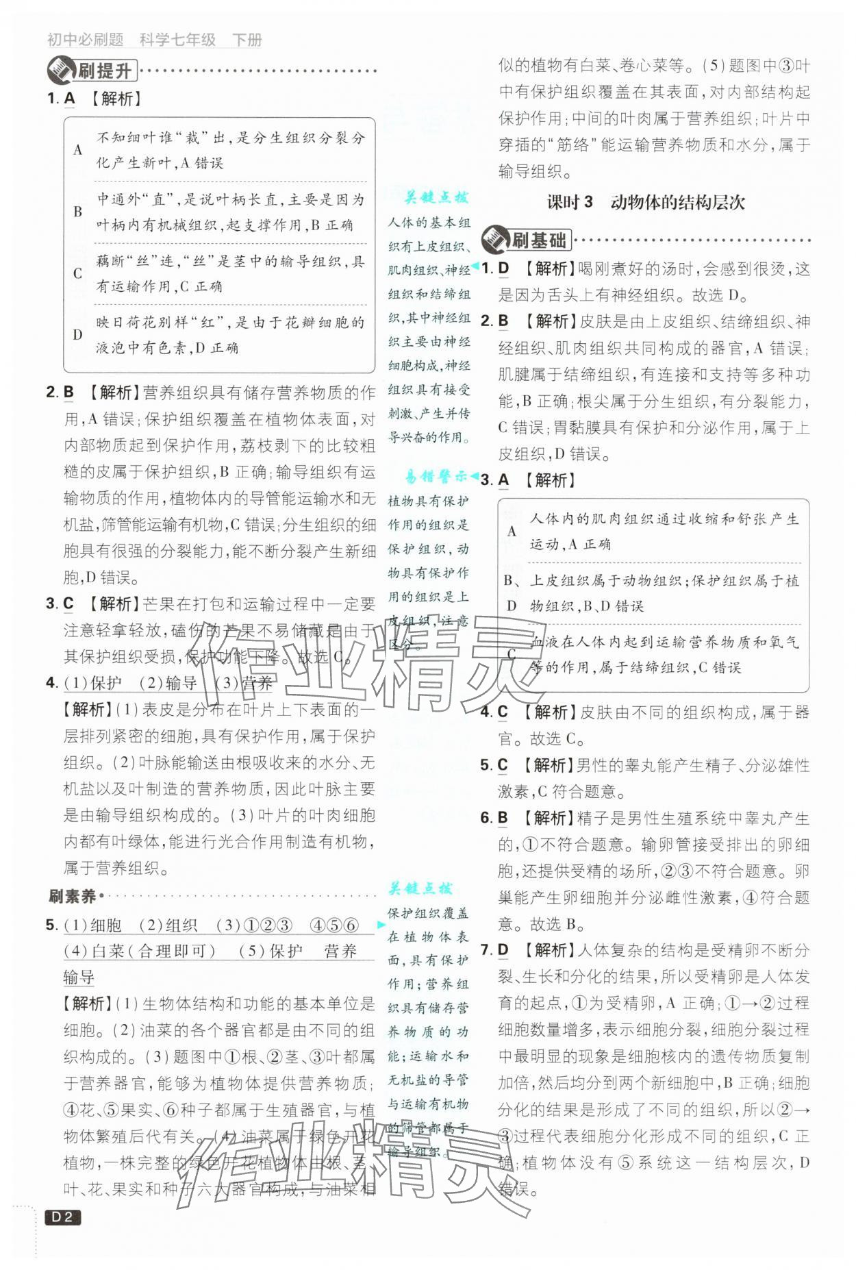 2025年初中必刷題七年級科學(xué)下冊浙教版浙江專版 參考答案第2頁