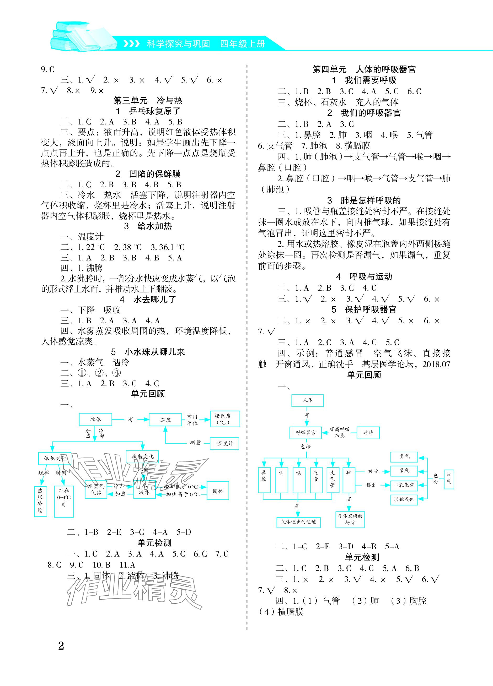 2023年科学探究与巩固四年级上册大象版 参考答案第2页