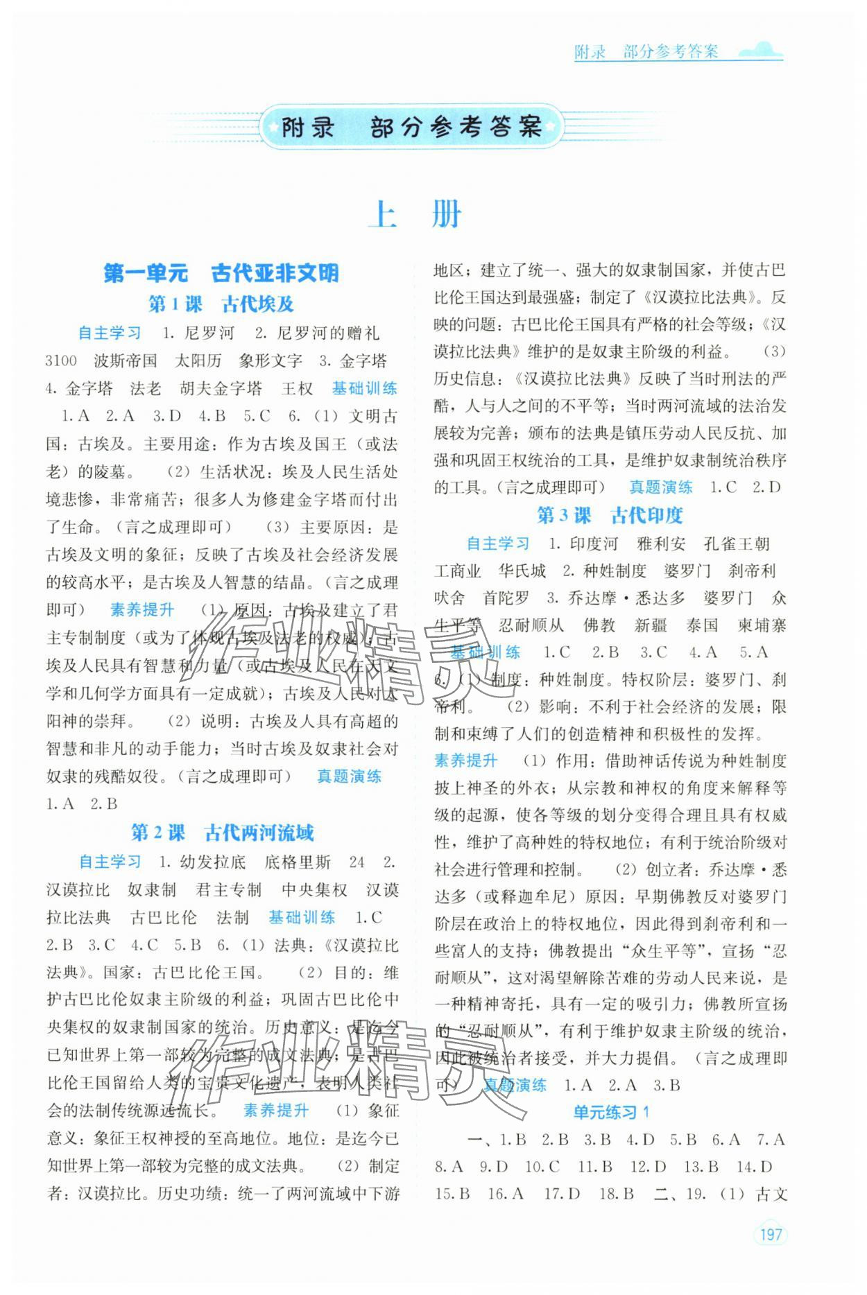 2025年自主学习能力测评九年级历史全一册人教版 第1页