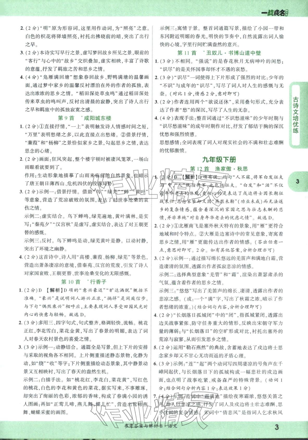 2026年纯练版总复习九年级语文全一册人教版&nbsp;第3页