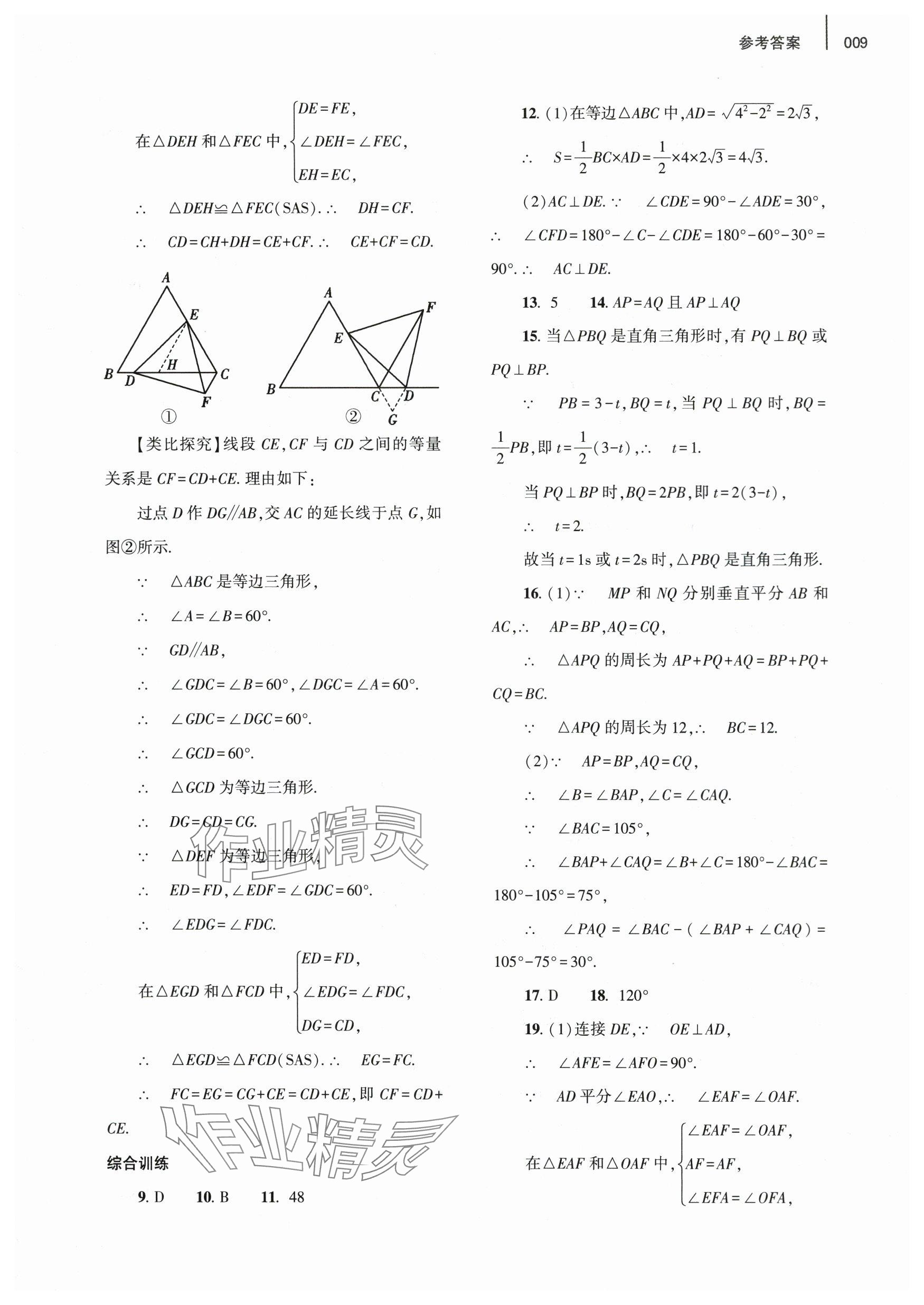 2024年基礎(chǔ)訓(xùn)練大象出版社八年級(jí)數(shù)學(xué)下冊(cè)北師大版 參考答案第9頁