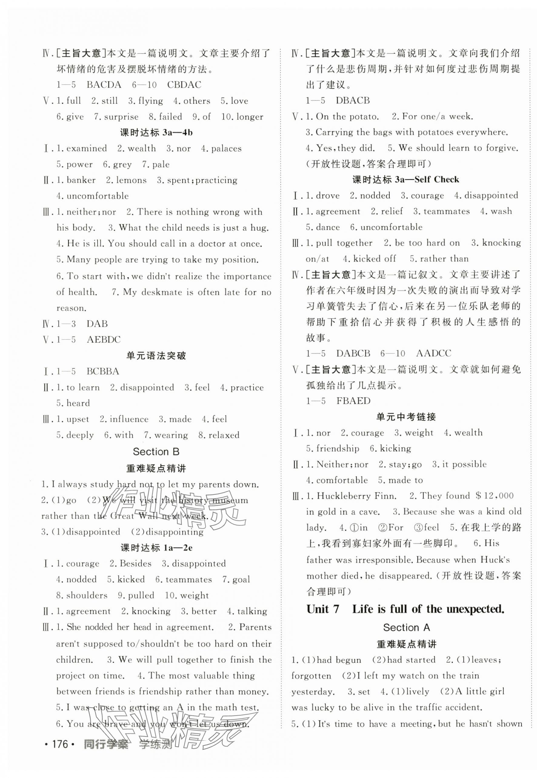 2025年同行学案九年级英语下册鲁教版 第7页