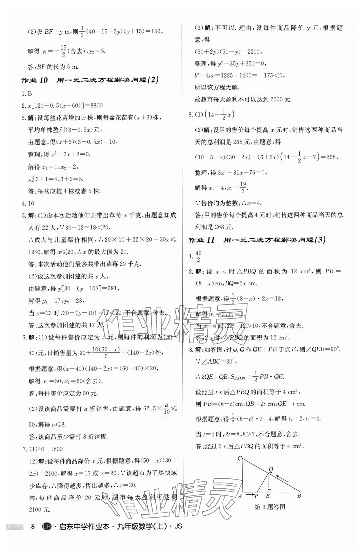 2024年启东中学作业本九年级数学上册苏科版连淮专版 第8页