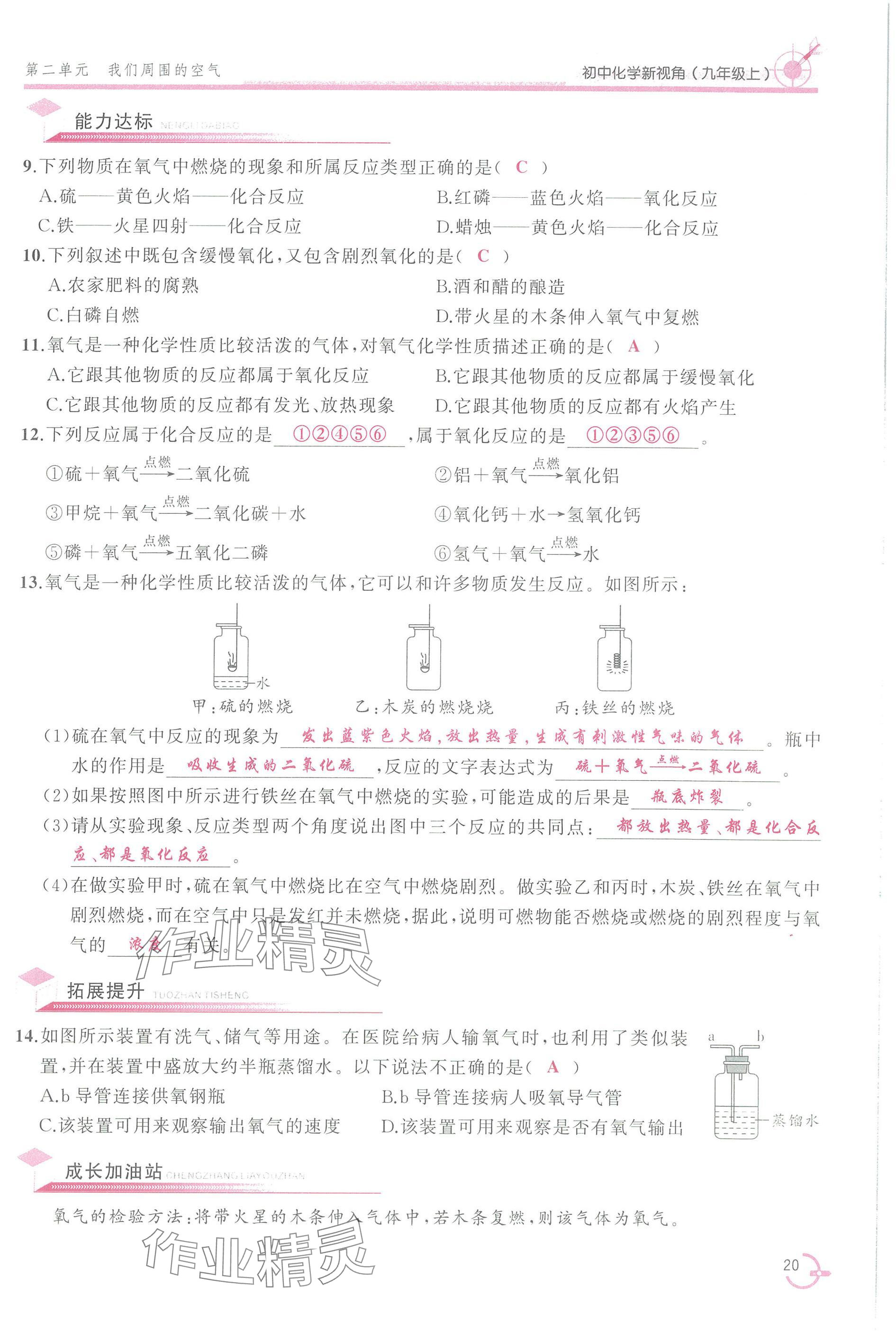 2025年新视角教辅系列丛书九年级化学上册人教版 参考答案第20页