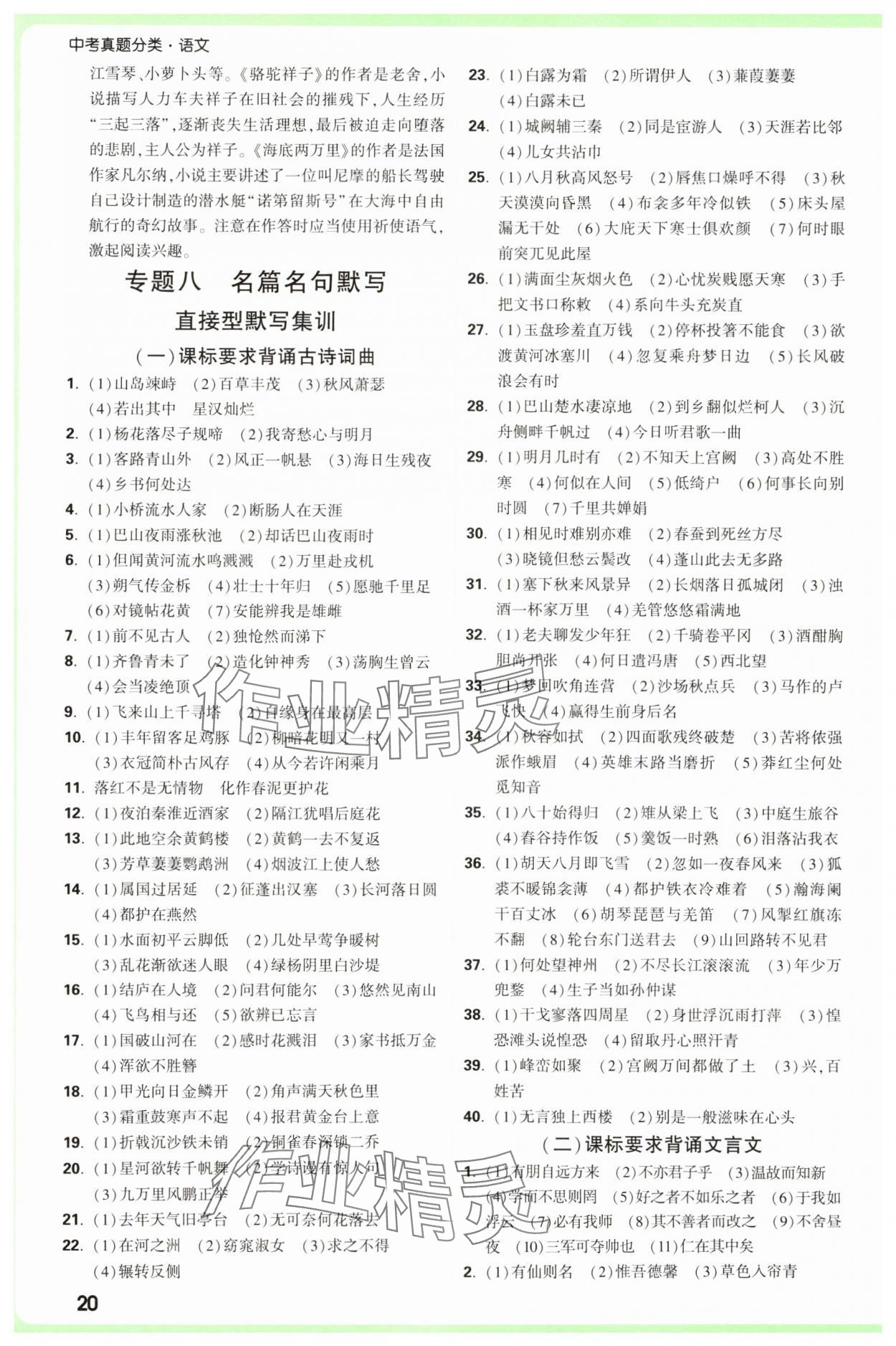 2025年萬唯中考真題分類中考語文 參考答案第20頁