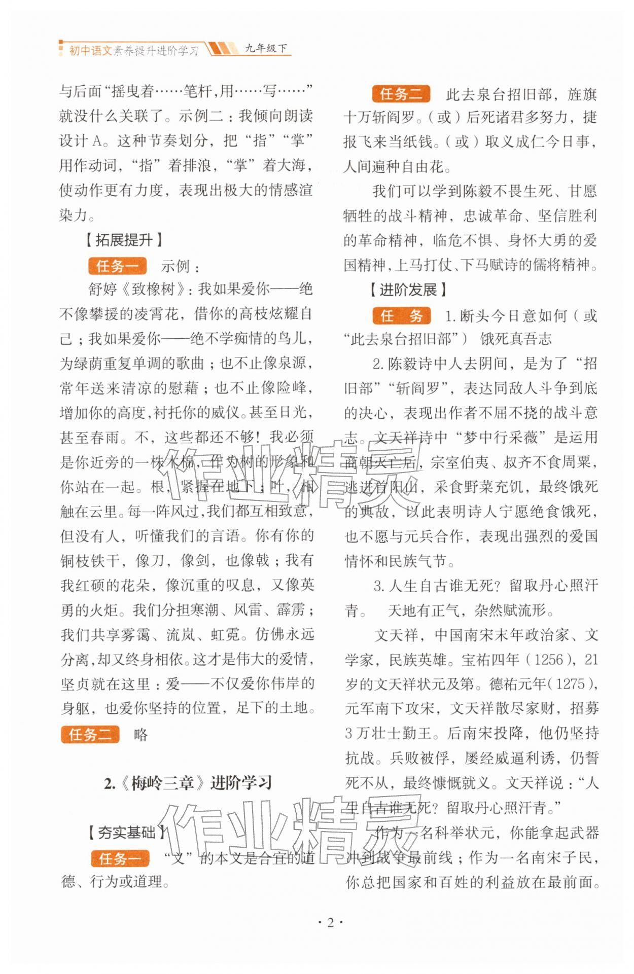 2026年素养提升进阶学习九年级语文下册人教版&nbsp;第2页