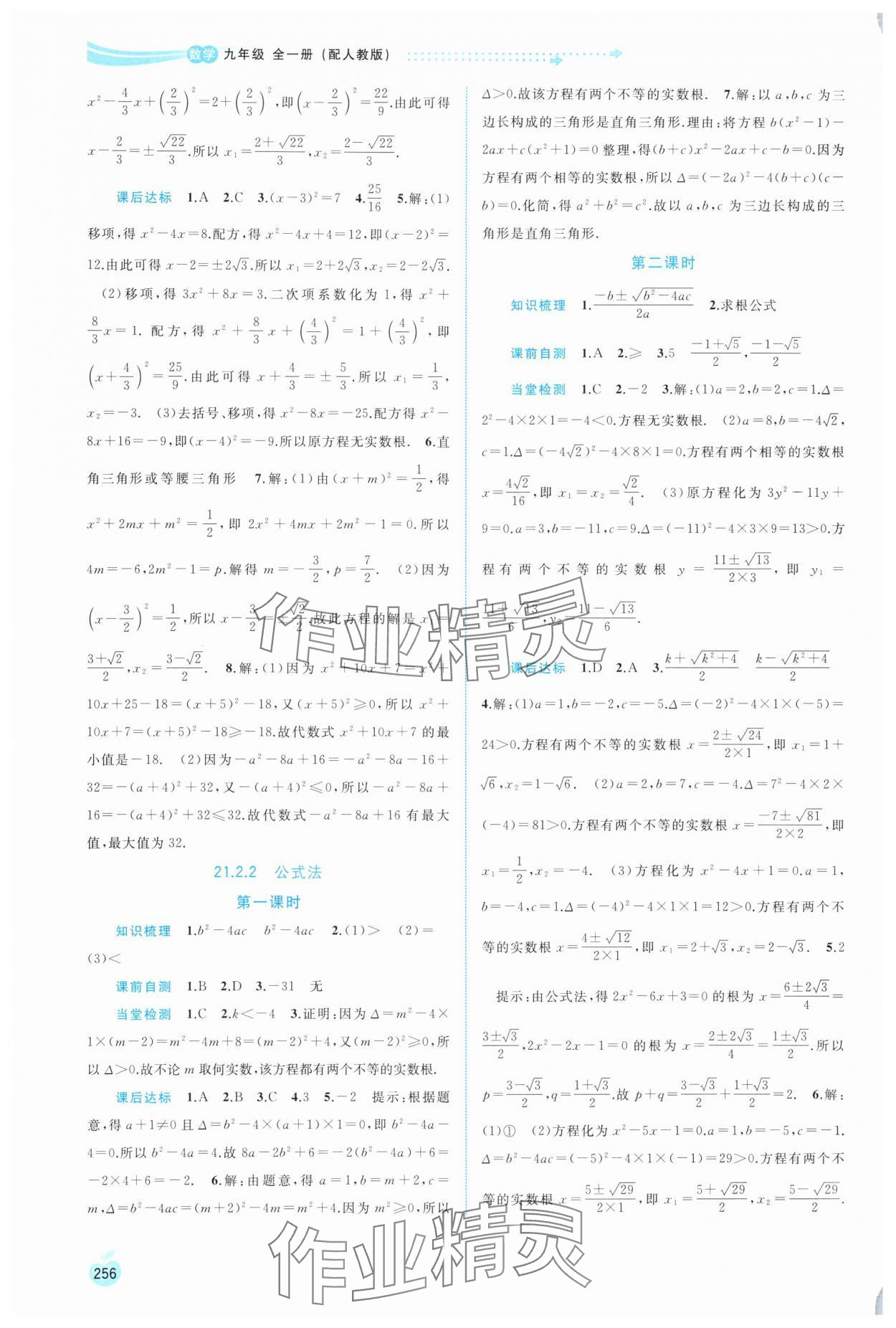 2025年新课程学习与测评同步学习九年级数学全一册人教版 第2页
