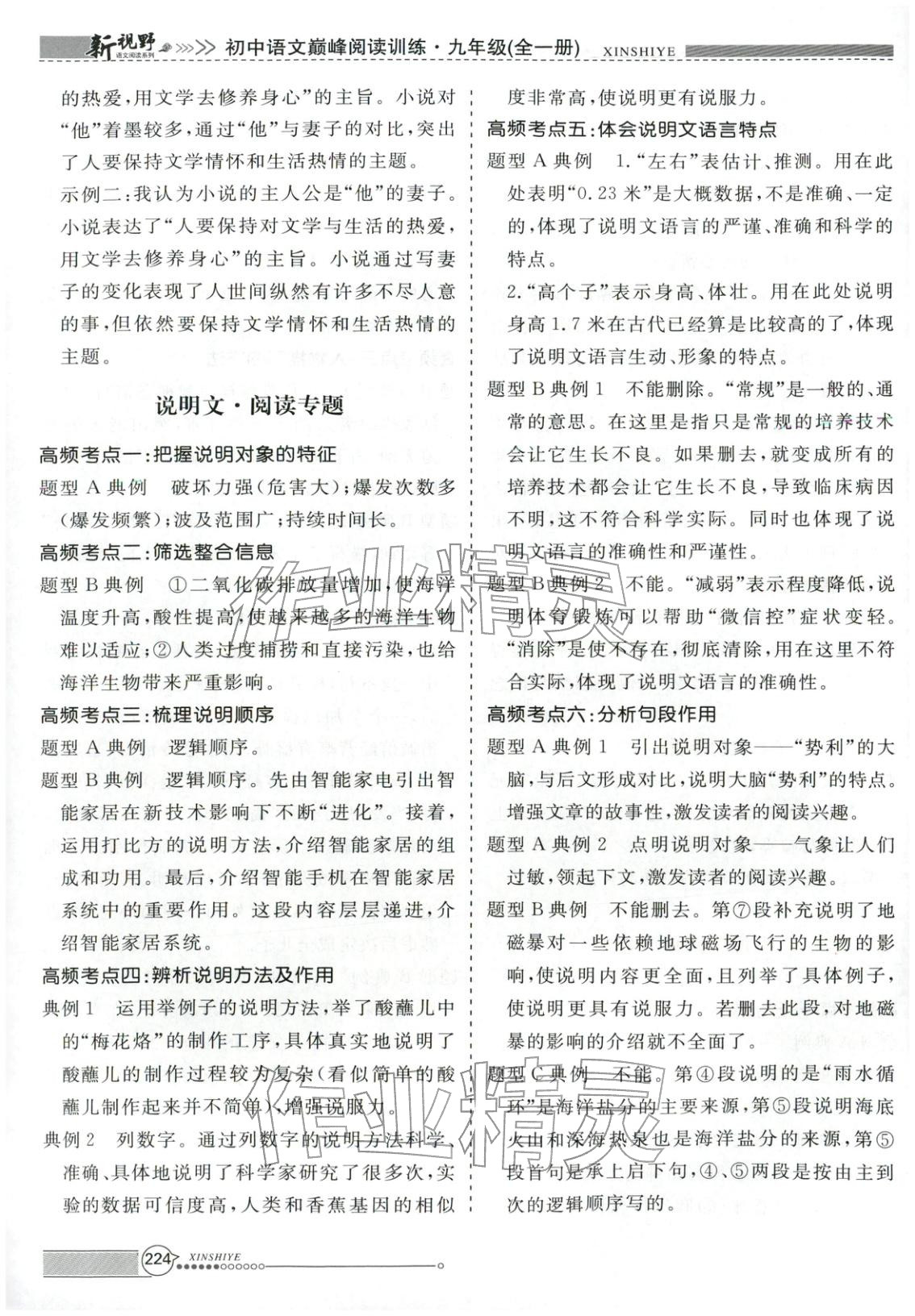 2026年新视野巅峰阅读训练九年级语文全一册人教版&nbsp;第4页