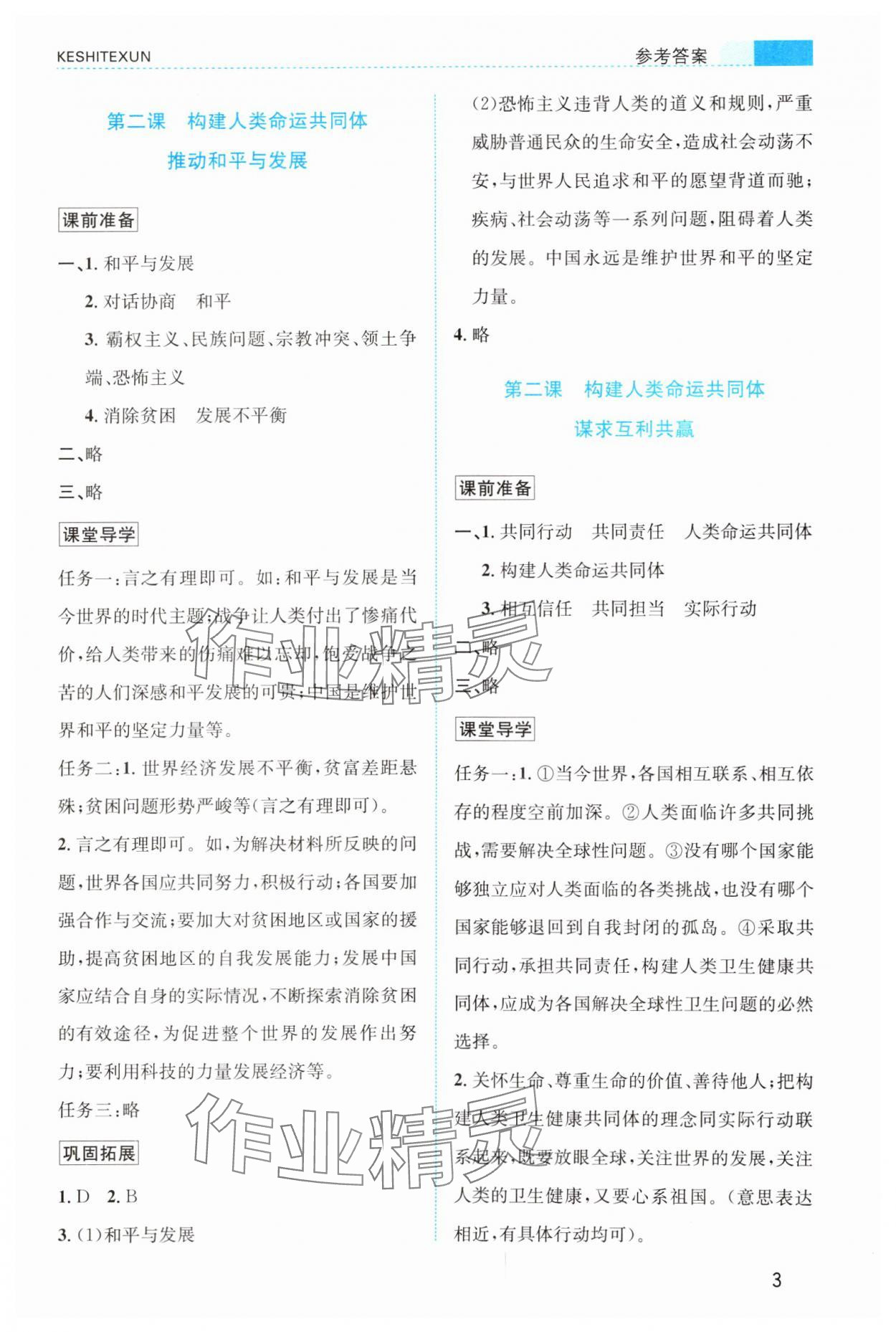 2025年课时特训九年级道德与法治下册人教版&nbsp;参考答案第3页