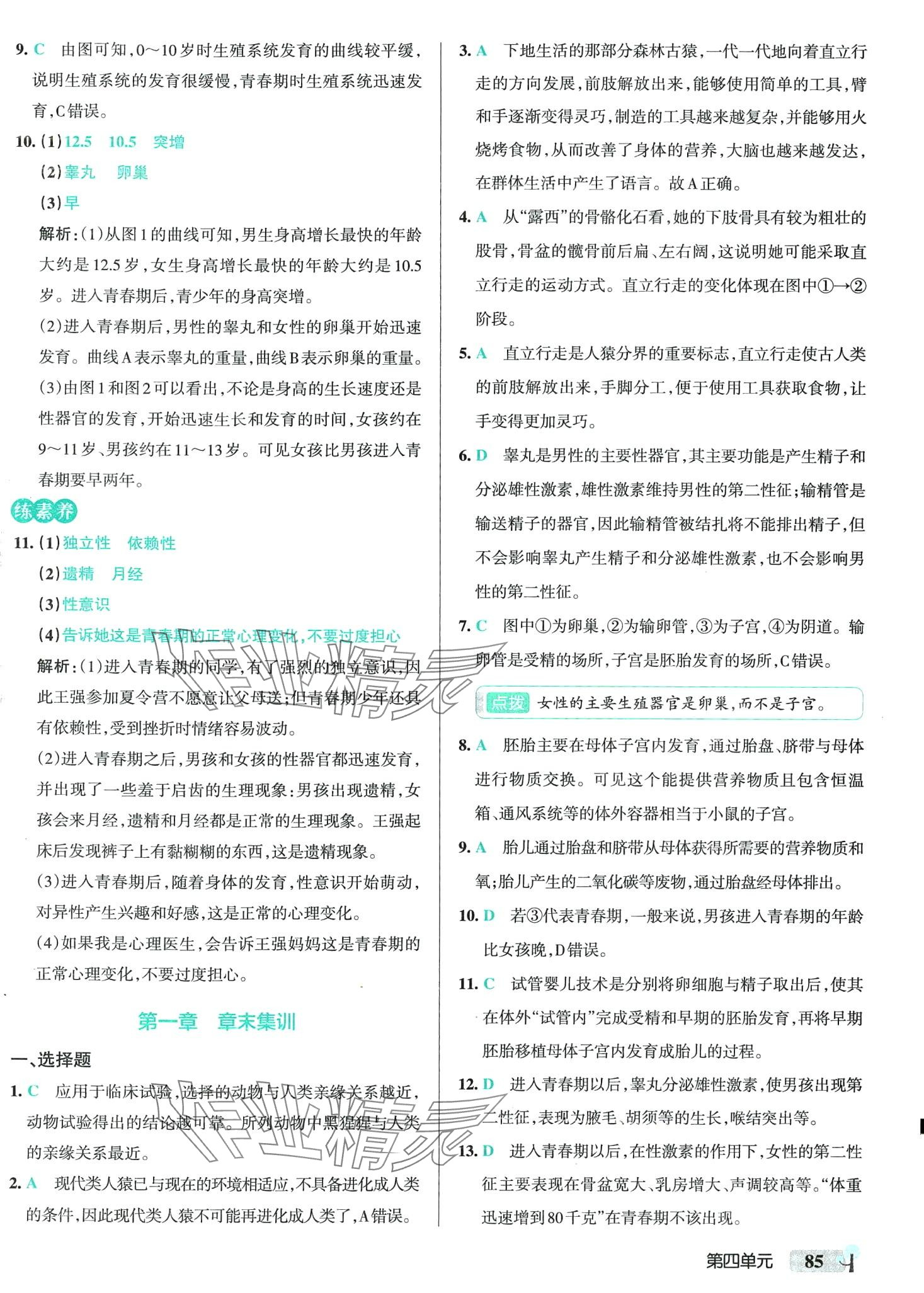 2024年初中學(xué)霸創(chuàng)新題七年級生物下冊人教版 第3頁