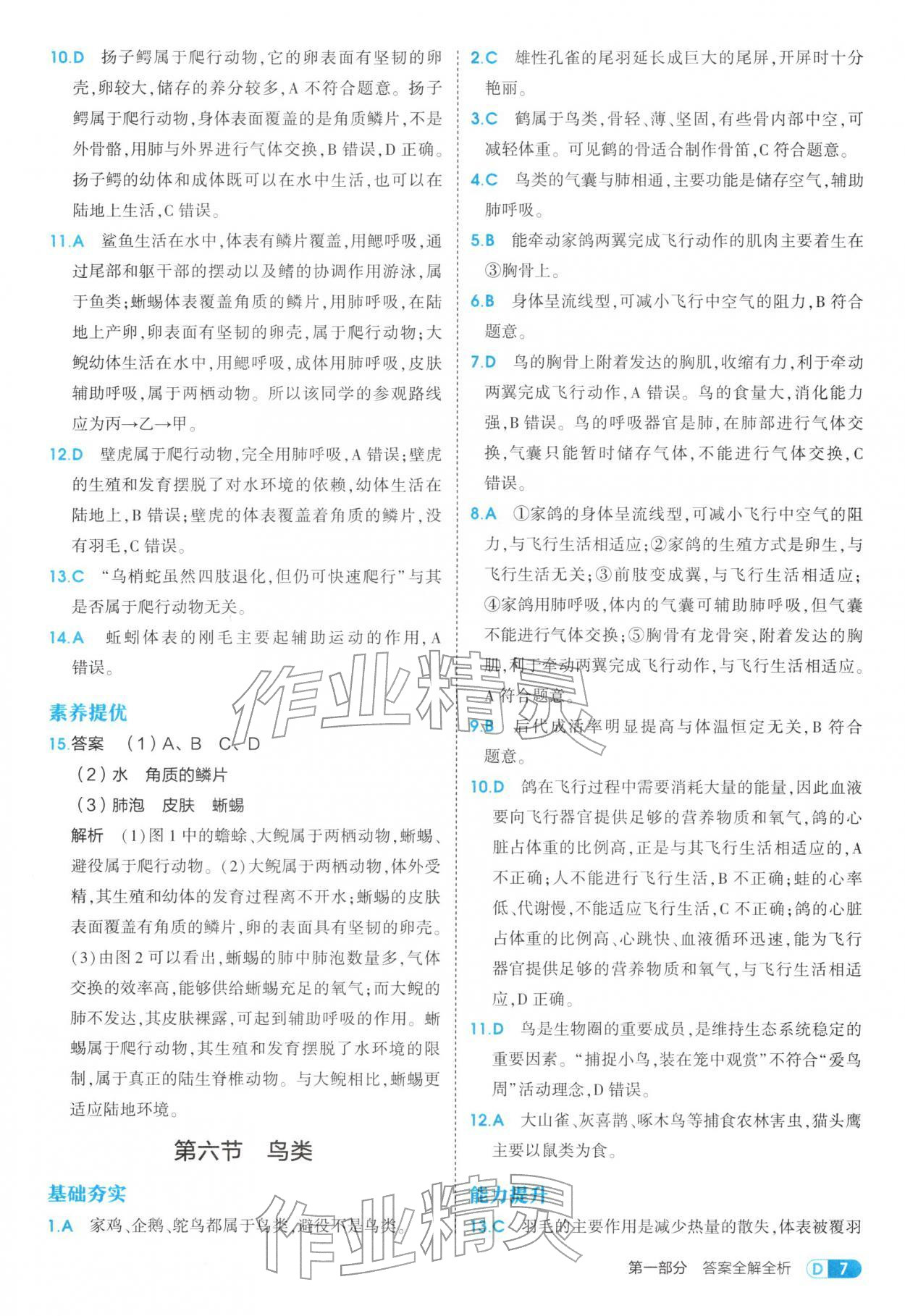 2025年5年中考3年模拟八年级生物上册鲁科版 参考答案第7页