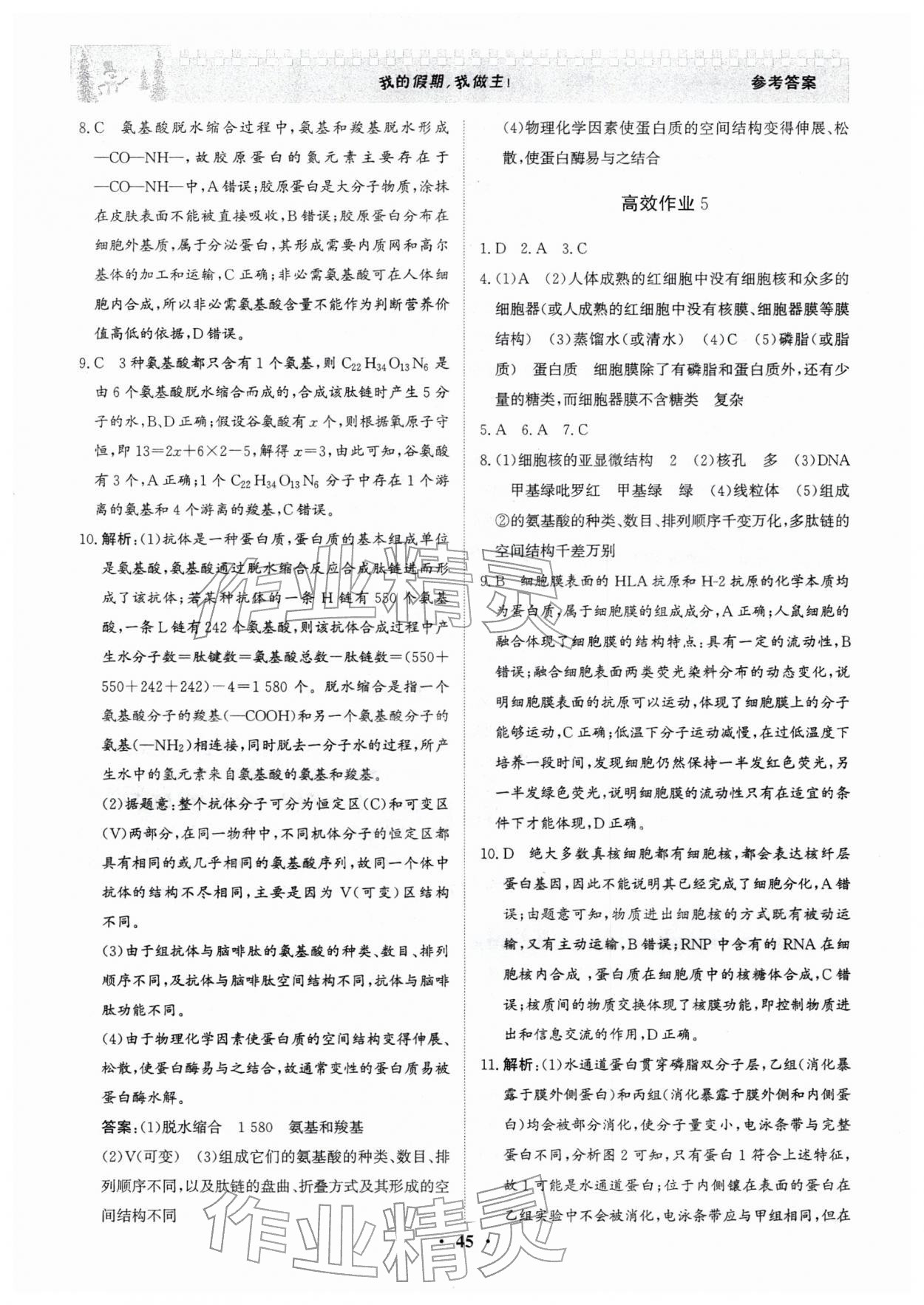 2026年優(yōu)化探究高效作業(yè)高一生物&nbsp;參考答案第3頁