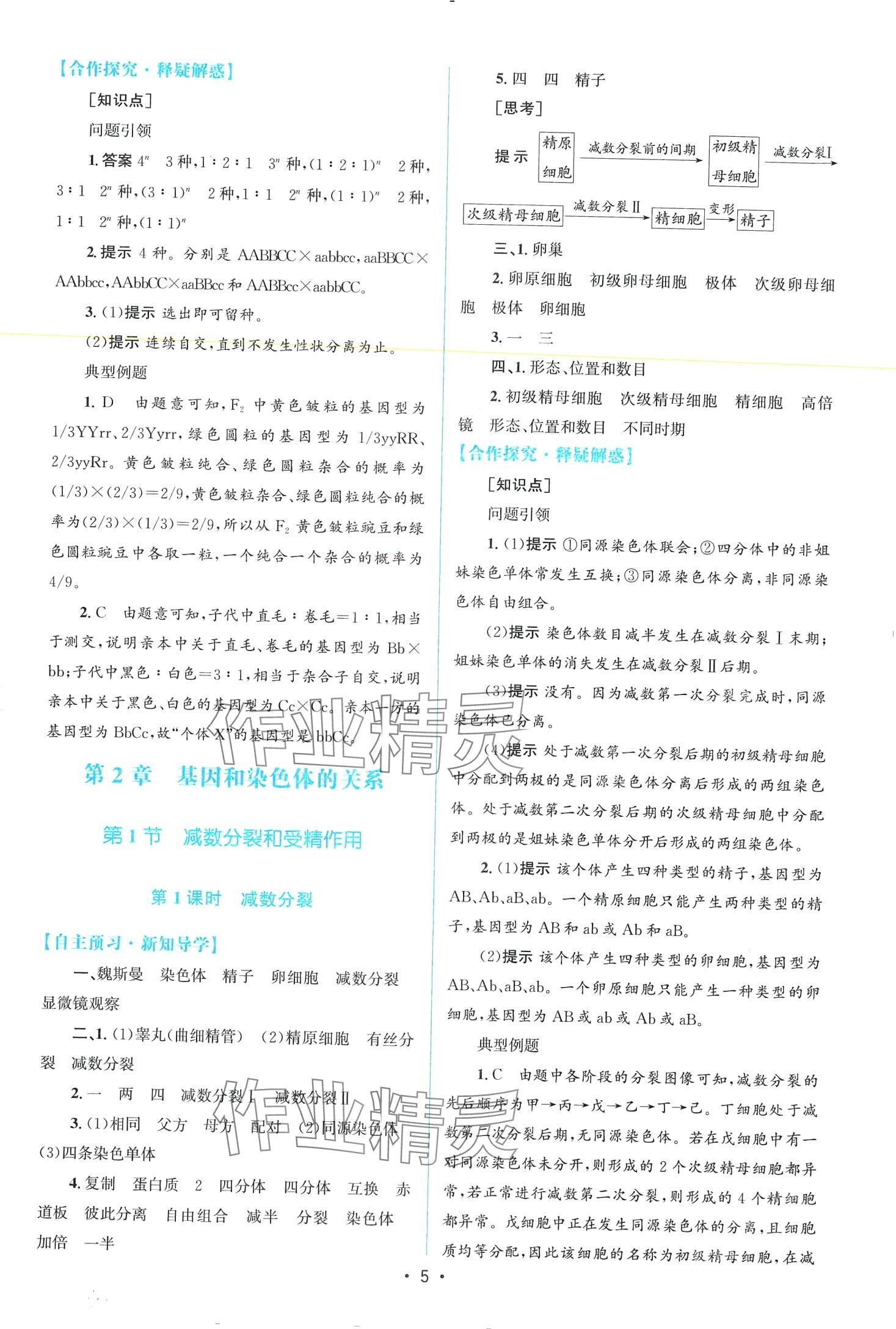 2024年高中同步測控優(yōu)化設(shè)計高中生物必修2人教版 第4頁