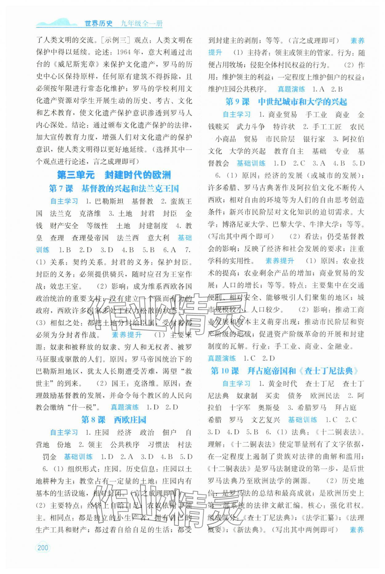 2025年自主学习能力测评九年级历史全一册人教版 第4页