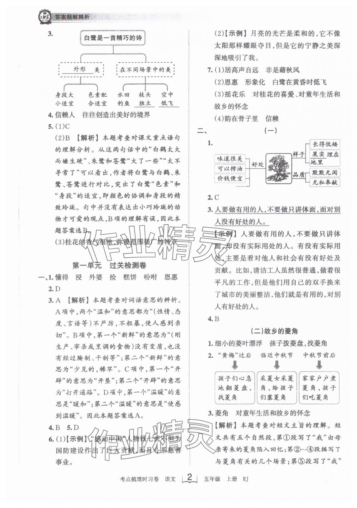 2023年王朝霞考点梳理时习卷五年级语文上册人教版 第2页