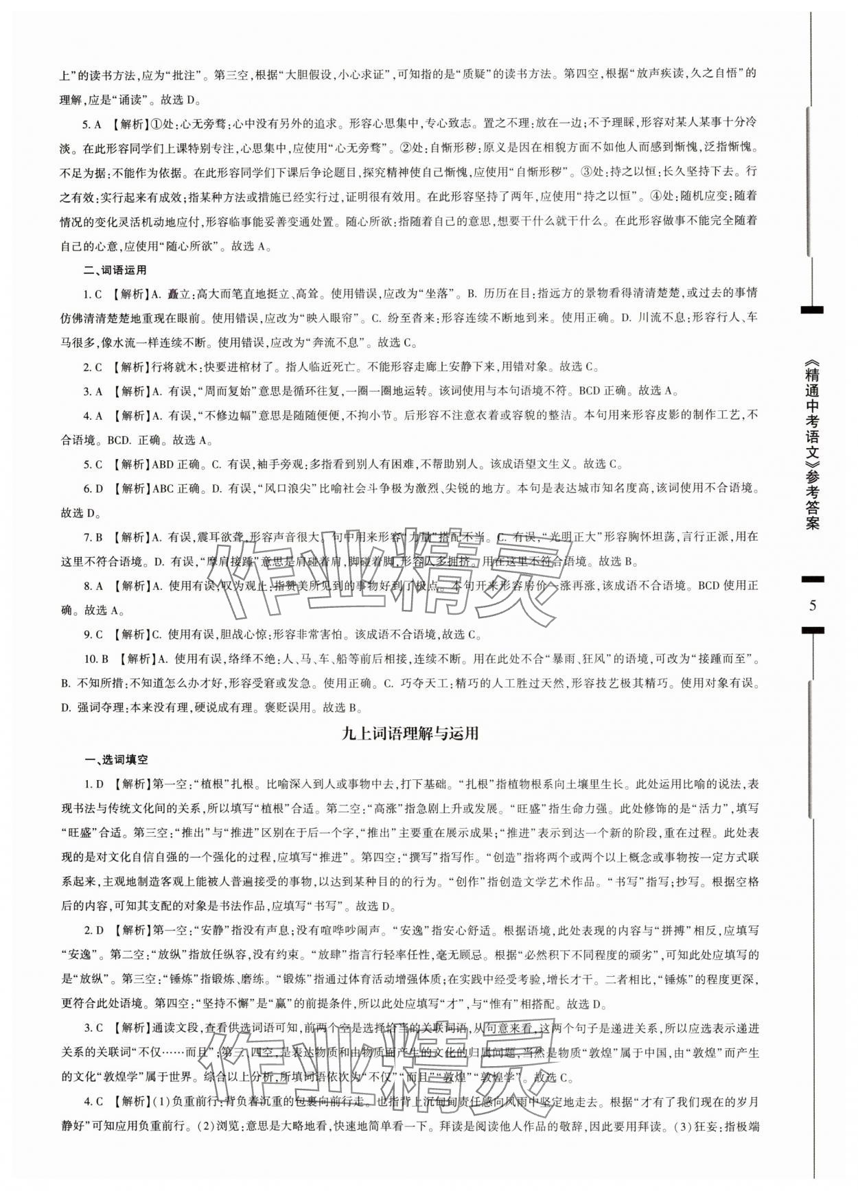 2025年精通中考語文基礎知識與試卷訓練 參考答案第5頁