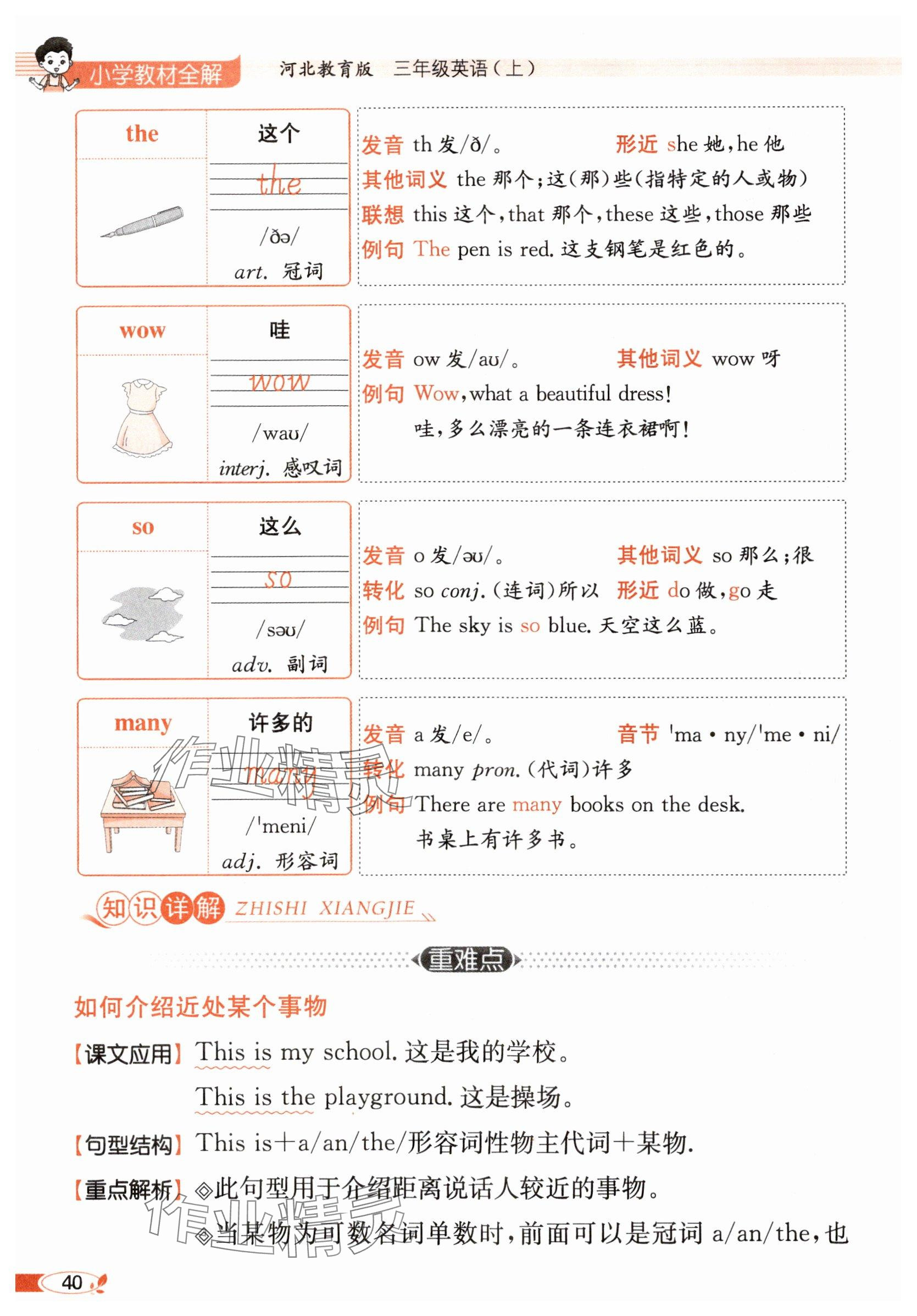 2025年教材课本三年级英语上册冀教版 参考答案第40页