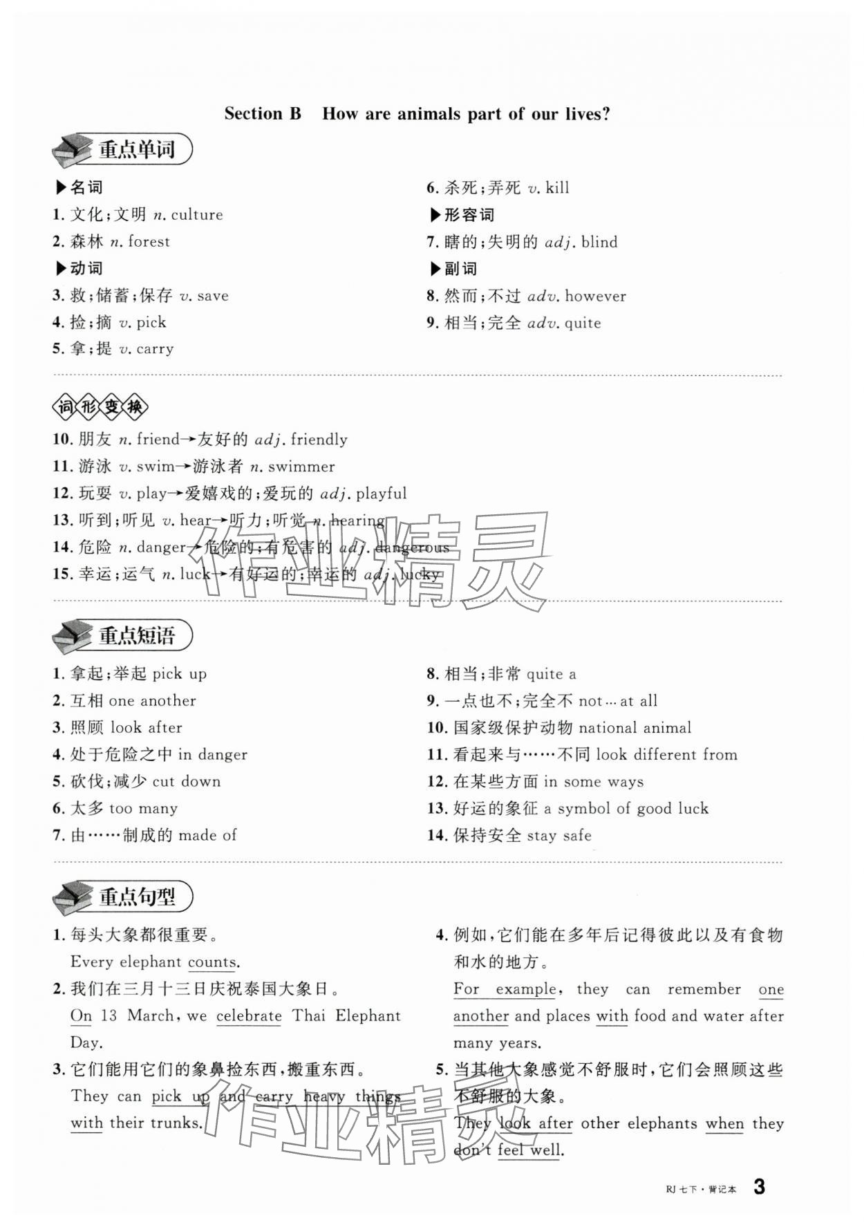 2025年名校課堂七年級英語下冊人教版安徽專版 第15頁