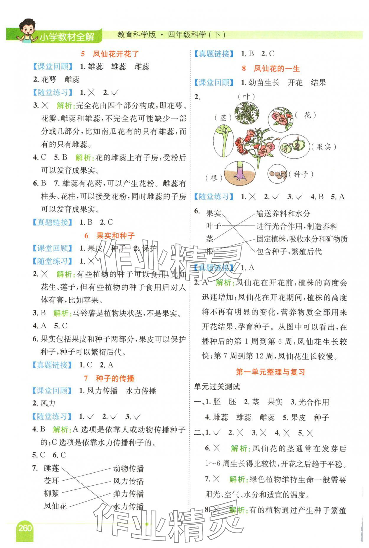 2025年教材全解四年級(jí)科學(xué)下冊(cè)教科版 第2頁(yè)