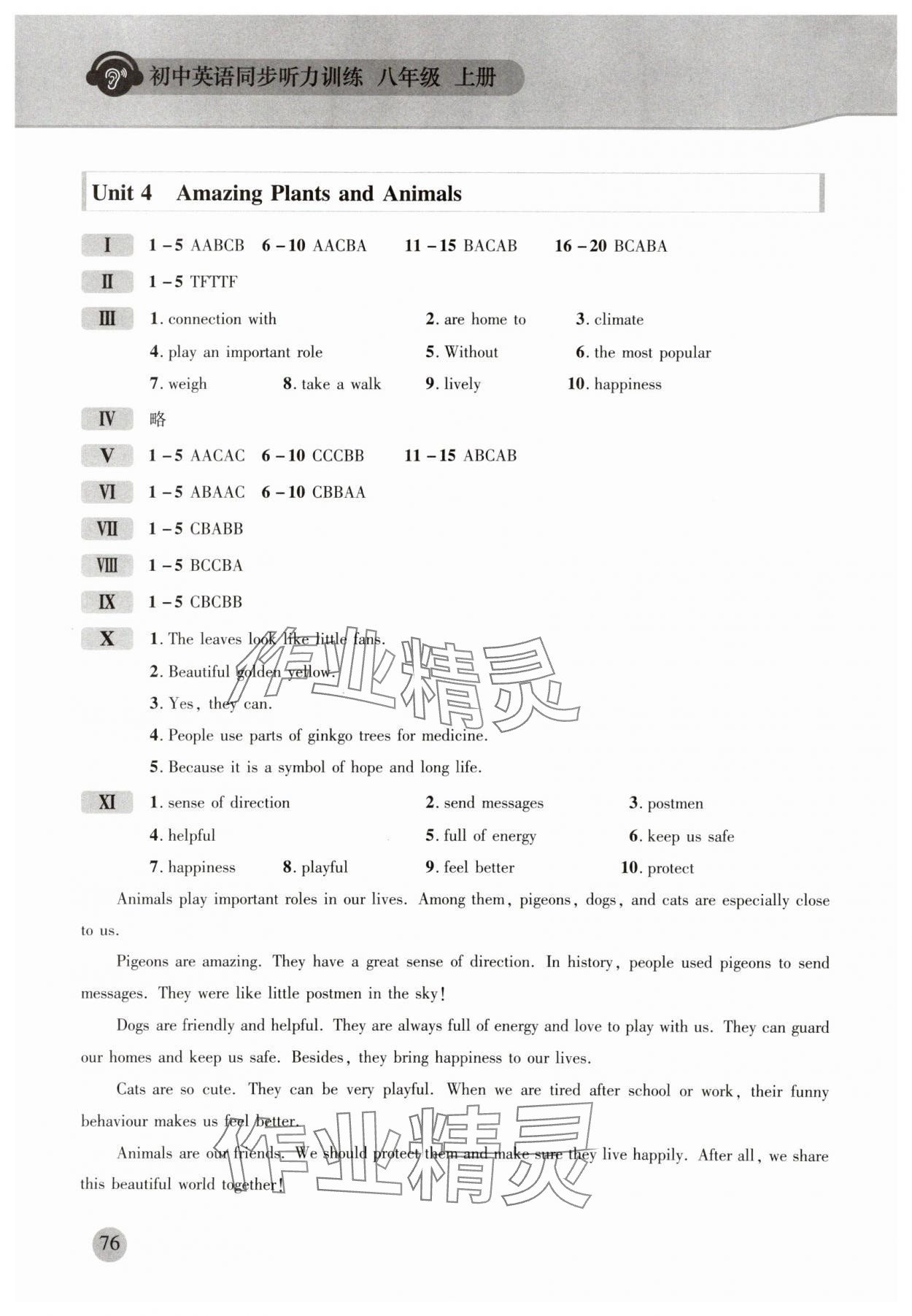 2025年同步听力训练人民教育出版社八年级英语人教版&nbsp;第4页