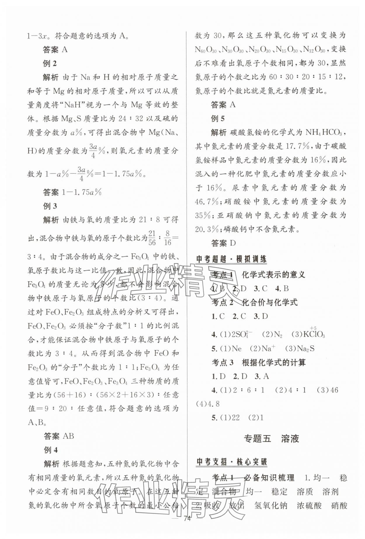 2025年初中總復(fù)習(xí)手冊北京師范大學(xué)出版社化學(xué) 第6頁