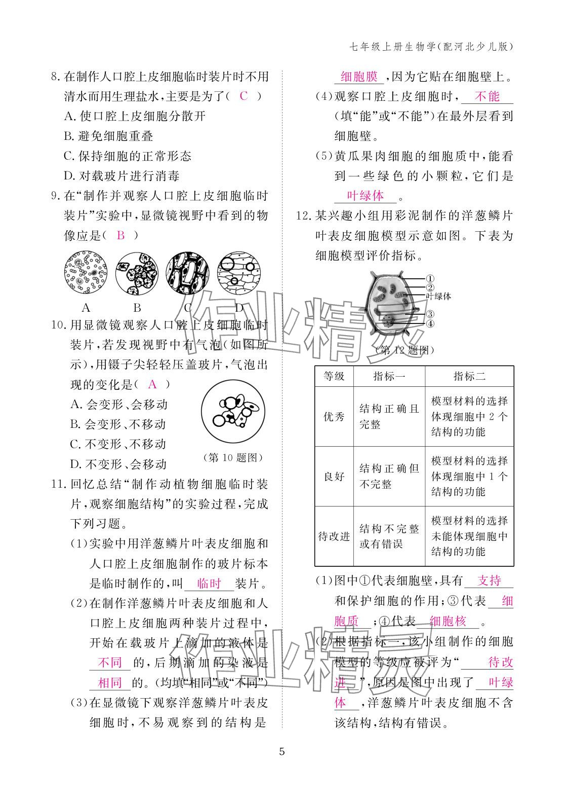 2025年作业本江西教育出版社七年级生物上册冀少版 参考答案第5页