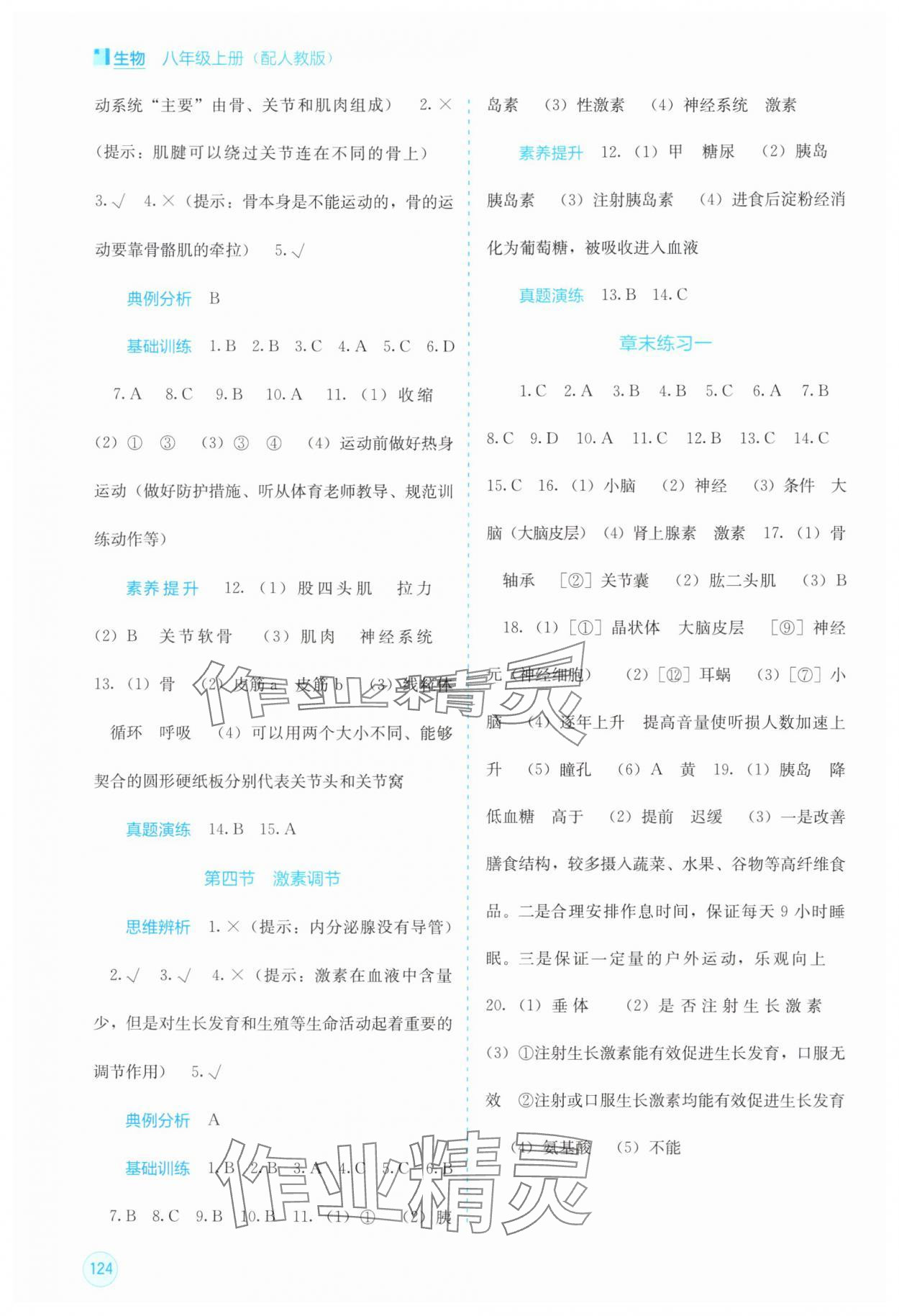 2025年自主学习能力测评八年级生物上册人教版 第2页